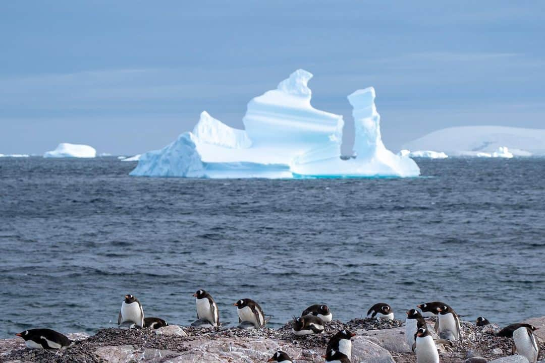 ジョエル・ムーアさんのインスタグラム写真 - (ジョエル・ムーアInstagram)「Our journey to Antarctica was like nothing I've ever experienced in life. The community of scientists, politicians, activists, philanthropists and media reps were all there for one common goal: longevity for this continent and our planet. I'm so inspired by everyone fighting so hard to create bipartisan legislation and impact measures to push a unified agenda for clean energy and climate positivity. Thank you to @walkingsofter for an incredible adventure, we're all inspired by your leadership. 🙏  #Antarctica #Travel #cleanenergy」3月1日 1時11分 - joeldavidmoore