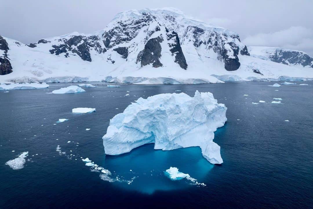 ジョエル・ムーアのインスタグラム：「Our journey to Antarctica was like nothing I've ever experienced in life. The community of scientists, politicians, activists, philanthropists and media reps were all there for one common goal: longevity for this continent and our planet. I'm so inspired by everyone fighting so hard to create bipartisan legislation and impact measures to push a unified agenda for clean energy and climate positivity. Thank you to @walkingsofter for an incredible adventure, we're all inspired by your leadership. 🙏  #Antarctica #Travel #cleanenergy」