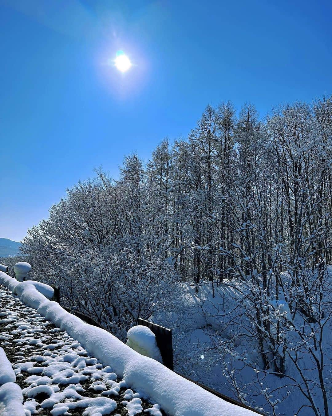 クリスティン・ウェイのインスタグラム：「Winter 2023 #niseko #familytime #winterholiday #hokkaido #cwttavel」