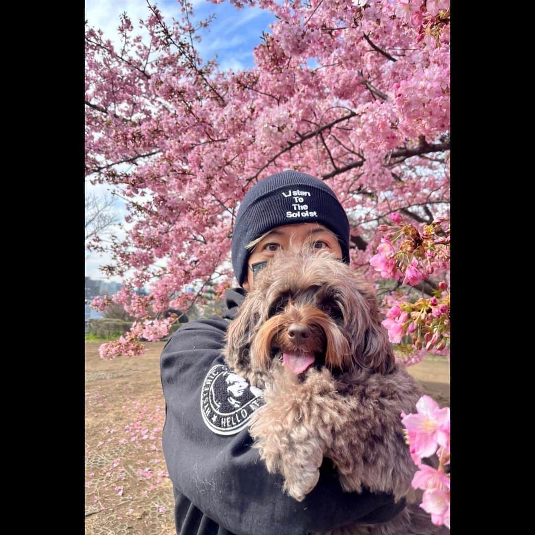 木村拓哉さんのインスタグラム写真 - (木村拓哉Instagram)「⁡ ⁡ ⁡ 「今日から、3月❕ 物凄い暖かさでビックリですね…。 桜の花も、咲き始める準備をしてます。 八重桜は、一足先に咲きまくりです❕ アムのベロと八重桜のピンクが妙にマッチしていて…。 楽しい7400歩でした❕」 ⁡ PEACE‼︎ ⁡ STAYSAFE! ⁡ 拓哉 #木村拓哉 #TakuyaKimura」3月1日 12時54分 - takuya.kimura_tak