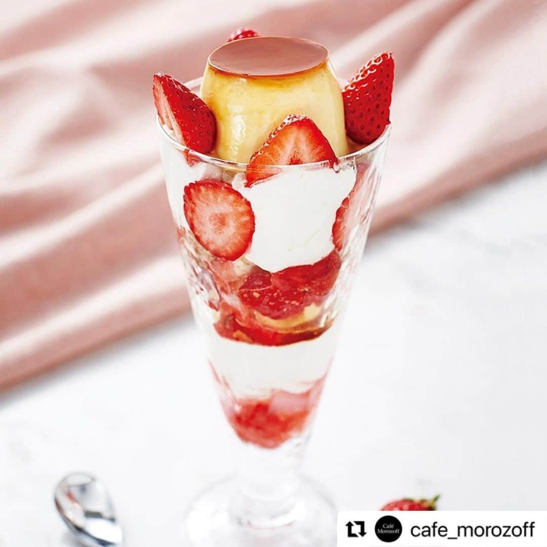 モロゾフ（公式）のインスタグラム：「@cafe_morozoff より お知らせです🍮🍓  #Repost @cafe_morozoff with @use.repost ・・・ \第ニ弾/ カフェモロゾフからいちごを使った春メニューが登場します💐  ⁡ -----------  （1枚目） 【春いちごのプリンパフェ】 税込価格　1,045 円　（本体価格 950 円） 旬のいちごと定番人気のカスタードプリン（ミニ）を使った期間限定のパフェです。 ⁡ ○取扱店舗 三井アウトレットパーク滋賀竜王店、神戸ハーバーランドumie 店、サクラマチ熊本店 ⁡ -----------  （2枚目） 【春いちごのミルクレープとお飲物】 税込価格　1,485 円　（本体価格1,350 円） 旬のいちごとほんのりラム酒の香るカスタードクリームをサンドしたミルクレープ。この春おすすめのセットメニューです。 ※お飲物付き ⁡ ○取扱店舗 阪神百貨店梅田本店、あべのハルカス近鉄本店、神戸本店、大丸神戸店、天満屋岡山本店  ⁡ ----------- ⁡ ○取扱期間 3/1（水）〜5/31（水） ⁡ ※販売期間は変更になる場合がございます。 ※店舗により価格や仕様が異なります。 ⁡ いちご尽くしでわくわくしてしまいますね！ 今だけの限定スイーツ！ぜひお楽しみください🍓 お待ちしております。 ⁡ ⁡ #カフェモロゾフ #モロゾフカフェ #いちご #いちごスイーツ #いちご好き #プリンパフェ #いちごパフェ #ミルクレープ #モロゾフ #morozoff #cafemorozoff #morozoffcafe #神戸カフェ#カフェ #cafe #スイーツ」