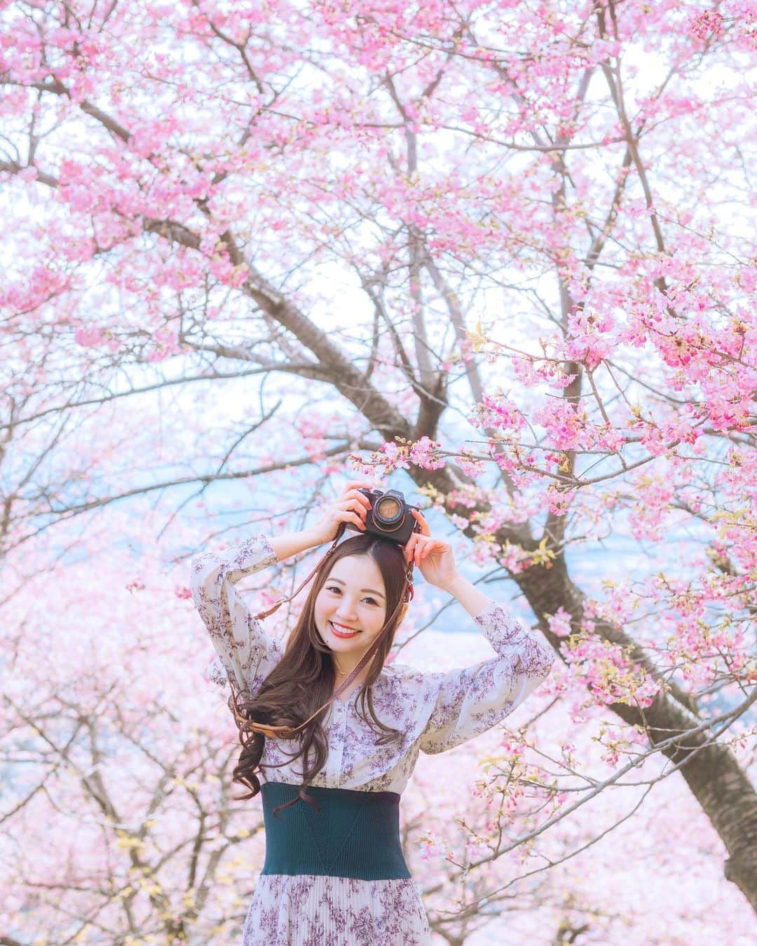 のインスタグラム：「🌸 桜とカメラ女子🌸×📷 私のカメラはでかくてゴツイから、あすかちゃんのSONYを手に持ってパシャり📷 3月も花粉に負けずに桜旅したい🌸  ・ ・ ・ 🌸 @sherry_1113 📷シャッター押してくれてありがとう♡♡  🌸 #桜  #河津桜 #お花見 #春旅 #retrip_news  #タビジョ #daily_photo_jpn  #japan_daytime_view  #TokyoCameraClub #Lovers_Nippon #art_of_japan_  #被写体モデル  #hubsplanet #awesomeearthpix #awesometravel #1x_japan  #IGersJP#ビジョビ  #genic_mag #cherryblossom  #VSCOportrait #カメラ女子  #女子旅  #松田山ハーブガーデン  #ファインダー越しの私の世界 #写真好きな人と繋がりたい #春コーデ  #春服  #桜ポートレート」