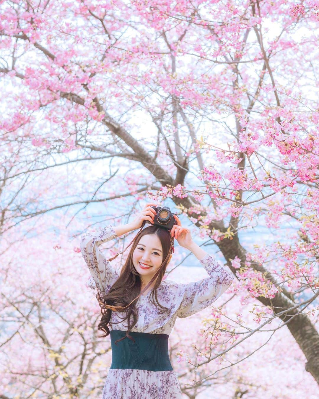 ももせゆきのインスタグラム：「🌸 桜とカメラ女子🌸×📷 私のカメラはでかくてゴツイから、あすかちゃんのSONYを手に持ってパシャり📷 3月も花粉に負けずに桜旅したい🌸  ・ ・ ・ 🌸 @sherry_1113 📷シャッター押してくれてありがとう♡♡  🌸 #桜  #河津桜 #お花見 #春旅 #retrip_news  #タビジョ #daily_photo_jpn  #japan_daytime_view  #TokyoCameraClub #Lovers_Nippon #art_of_japan_  #被写体モデル  #hubsplanet #awesomeearthpix #awesometravel #1x_japan  #IGersJP#ビジョビ  #genic_mag #cherryblossom  #VSCOportrait #カメラ女子  #女子旅  #松田山ハーブガーデン  #ファインダー越しの私の世界 #写真好きな人と繋がりたい #春コーデ  #春服  #桜ポートレート」