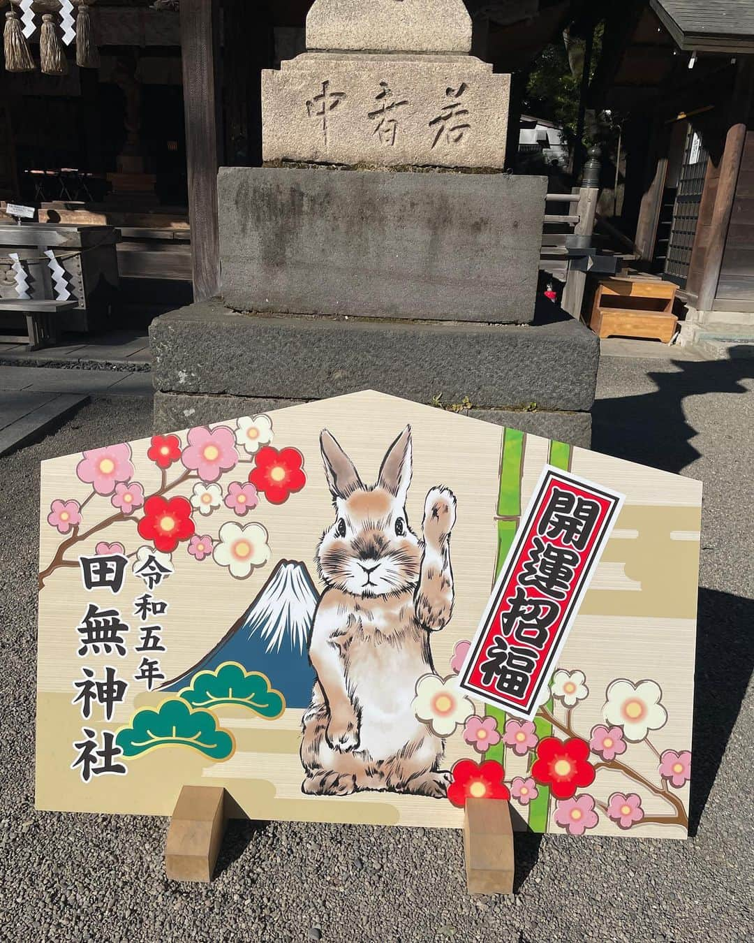 美甘子さんのインスタグラム写真 - (美甘子Instagram)「西東京市のパワースポット五龍神を祀る田無神社へ🐉 昨年のお守りのお礼参りをして新たなお守りをいただきました。 雲ひとつなく天気が良くて気持ち良かった☺️ #田無神社」3月1日 8時15分 - rekish_mikako