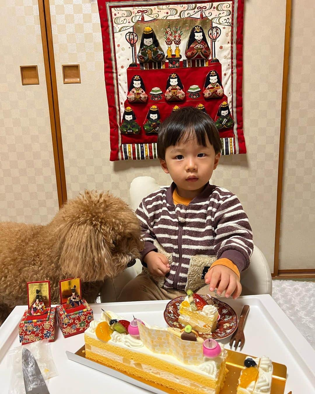 長嶺菜菜子さんのインスタグラム写真 - (長嶺菜菜子Instagram)「【イベントを大事に】 ⁡ 子供ができてから イベント毎ってやっぱりやりたいし 楽しみたい😙 ⁡ 特に日本のイベントは子供たちにも ちゃんと伝えて続けていきたい ⁡ ⁡ ということで3月は3日はひな祭り🎎🌸 ⁡ あおいの初節句🍑 ⁡ 3月9日生まれのあおいは 昨年はお腹の中で節句を迎えてた👶🏻✨ ⁡ おめかしして、 座っていられるのは10秒もない🤣 ⁡ 目の前の置物が気になり、 ケーキが気になり、 私に「まだ〜！もう少し待って〜！」って 言われ、次第に触りたい欲が出てきて 泣くというw ⁡ ばぁばが頑張ってあやしてくれました👏 ⁡ そして、ルイが帰ってきて 改めてケーキを出して火をつけると 「ハッピバースデートゥーユー🎵」と 歌い出す😂 ⁡ ケーキに火がつく＝誕生日 と思っているみたいw ⁡ ルイはしまいにはあおいの席を奪い、 ケーキカットも施し、 犬のゆきちにケーキを取られそうになり 不服な顔になってた😂 ⁡ ⁡ もうこの一連を書いてるだけでも 2人の行動や表情が思い出されて 愛おしいꉂ🤣🤣🤣𐤔𐤔 ⁡ ⁡ あおいもルイも、何事もなく 健やかに成長して 健康に育ってくれていることが何よりも ありがたく幸せだなって 2人を見て思ってた🥰 ⁡ ＿＿＿＿＿＿＿＿＿＿＿ 今回用意したひな祭りケーキは 贅沢にも2つ💓 （写真9枚目） ⁡ エーデルワイス @edelweiss.okinawa  MAKE BAKE ℃ @make_bake_c  ⁡ 3/2-3/3の2日間、各店舗で 期間限定発売されるみたいだから 要チェック🤍 ＿＿＿＿＿＿＿＿＿＿＿＿ #ひな祭り#ひな祭りケーキ #PR #エーデルワイスアンバサダー #初節句 #桃の節句 #2歳3ヶ月男の子 #11ヶ月女の子 #沖縄ママ生活 #育児日記」3月1日 10時41分 - na7co0422