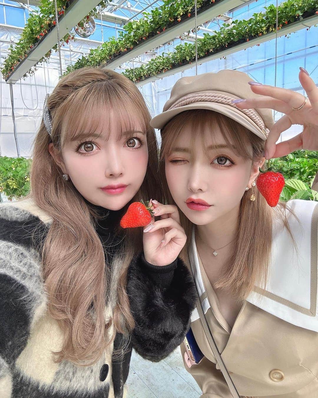 吉川ちえのインスタグラム：「【🍓🍓🍓🍓🍓🍓🍓】 . いちご狩り行ってきた😙🤲💕 とちおとめ美味しかった🌈✨ いちご食べてお腹いっぱいなった👀 . #いちご狩り #いちご  #グランベリー大地」