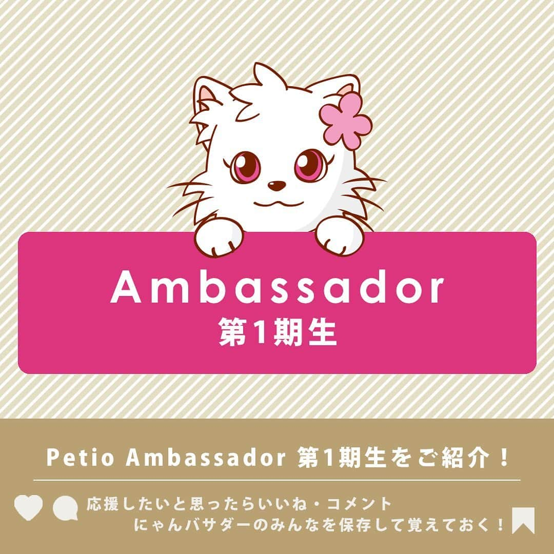 Petioのインスタグラム：「✨🐱✨  ペティオ公式アンバサダーが決定しました✨  当初予定していた活動時期から少しずれてしまいましたが、本日3月1日から2024年4月まで一緒に活動してくれる第1期生のにゃんバサダーのみなさんです🐱  これからどうぞよろしくお願いします😌♡♡♡ ※順不同  @boogoya6 さん @sasuke.0116 さん @___mii0704 さん @omisomison さん @kanapu10 さん @nikka.2231 さん @yaeba.uchino さん @tete__0918 さん @so_pl_ou_8 さん @marble820 さん  ____________________  #petio #ペティオ #ペティオアンバサダー  #アンバサダー #ambassador #にゃんバサダー #アンバサダー猫  #猫 #ねこ #ねこすたぐらむ #ネコ #ふわもこ部 #にゃんスタグラム #ねこ部 #にゃんこ #猫好きさんと繋がりたい #ねこのいる生活 #ねこのいる暮らし #猫と暮らす #cat #catstagram #kitty #petstagram #meow #instacat #🐱」