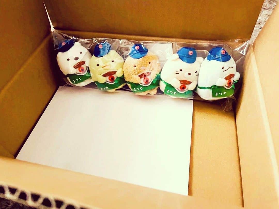 多和田秀弥さんのインスタグラム写真 - (多和田秀弥Instagram)「えええええええ！？ 限定てのりぬいぐるみ届いたんやけど。 びっくらこいた。 大好きな牛丼食べてプレゼントもらえて幸せすぎる。 まじご褒美やん。 今日も頑張る！！  #すみっコぐらし #たわはね」3月1日 11時09分 - tawadahideya_official
