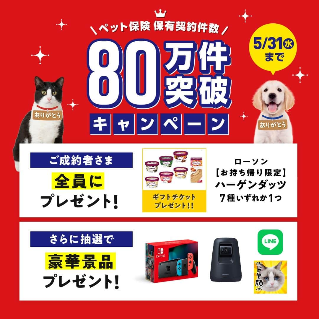 アイペット ペットスナップキャンペーンのインスタグラム：「＼本日より開催‼／ 🎉🐶ペット保険80万件突破キャンペーン😺🎉  新規ご成約キャンペーンを開催いたします！  🎉ご成約者さま全員に 本キャンペーンでは、期間中にお申込みいただいたご成約者さま全員にデジタルギフト「ローソン【お持ち帰り限定】ハーゲンダッツ7種いずれか1つ」をプレゼントいたします✨  🎉抽選で80名さまに 期間中にお申込みいただいたご成約者さまの中から抽選で合計80名さまに、Nintendo　Switch・Panasonic　HDペットカメラ・うちの子の写真でつくるオリジナルLINEスタンプをプレゼント！  キャンペーンの詳細は、プロフィールにある公式サイトのリンクからご確認ください！」