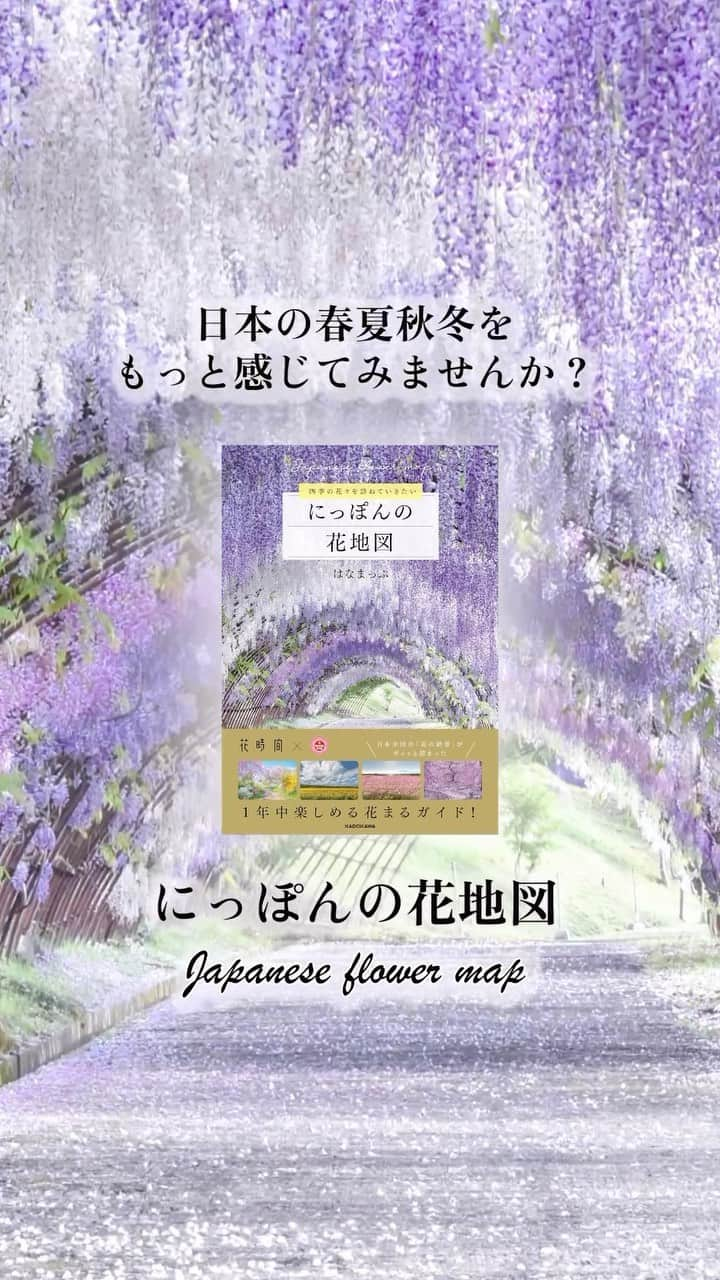 はなまっぷ❁日本の花風景のインスタグラム