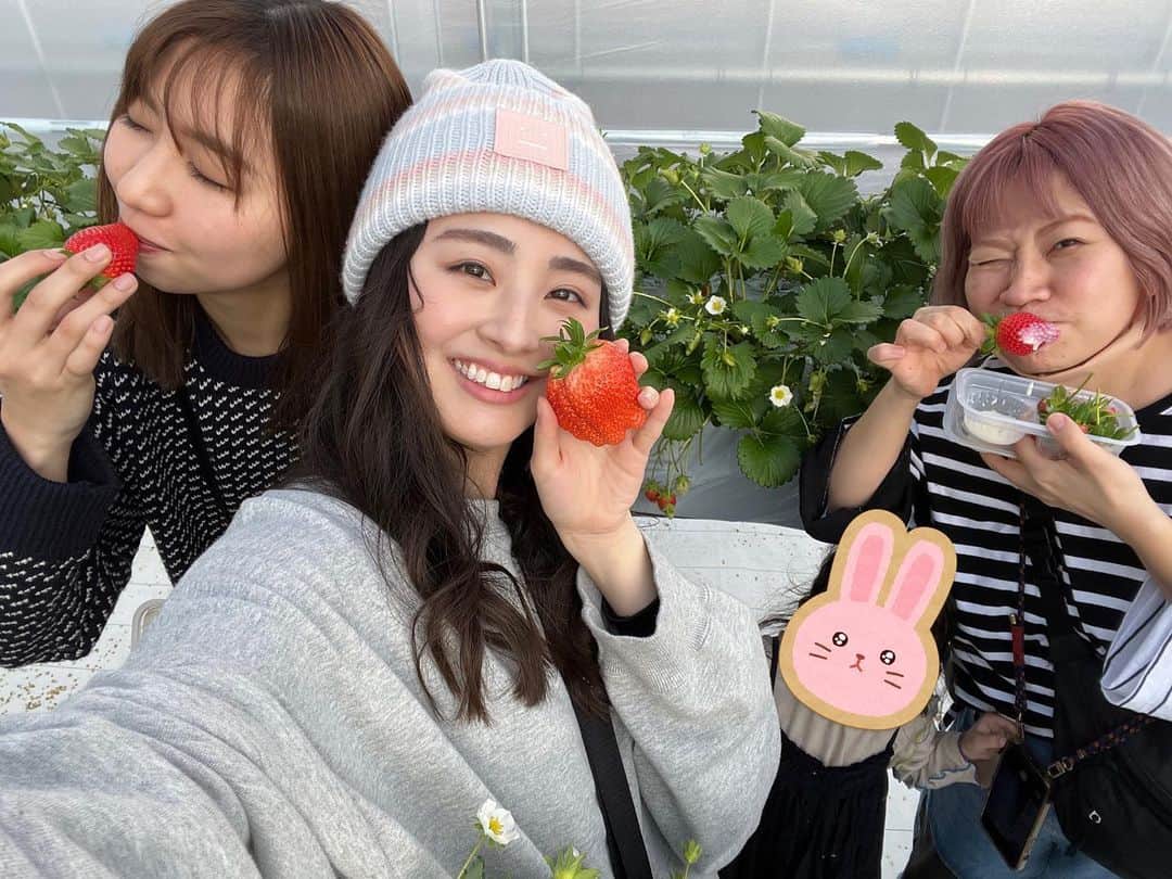 荒井レイラのインスタグラム：「先日、仲良しさんと旅行に行った時の ⁡ だぁい好きないちご狩り行けて嬉しかったなぁ 大きいのたくさん食べたし 練乳も1本使い切った😆 ⁡ 仲良しさんの子供たちも一生懸命いちご食べてて かわいかったなぁ🤭🤭」