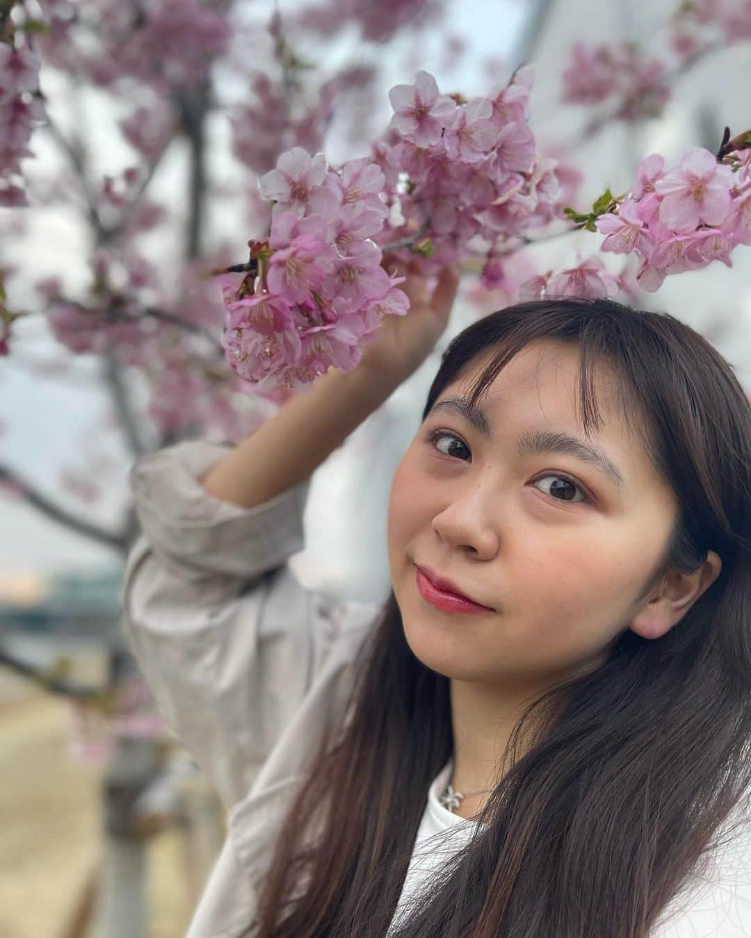 須田理夏子のインスタグラム：「桜を見に行ってきた🌸  ここの桜はほぼ満開になってて 綺麗だったなぁ💗  P.S. ピアス開けてから1年ちょっと経ったけど 左側がすぐ閉じようとしちゃってなかなか入らなくて片耳しかピアスついてません笑   #ポートレート  #portrait  #桜  #🌸 #さくら  #花のある暮らし #おしゃれ  #me #系統バラバラ系女子  #乃木坂46  #乃木坂好きな人と繋がりたい #乃木坂好きな女ヲタさんと繋がりたい #乃木坂 #3期生 #岩本蓮加 #岩本蓮加推し #photo  #photography #followme #ファッション  #fashion  #低身長コーデ  #河川敷 #他撮り  #春コーデ  #春  #ストレート  #ストレートヘア」