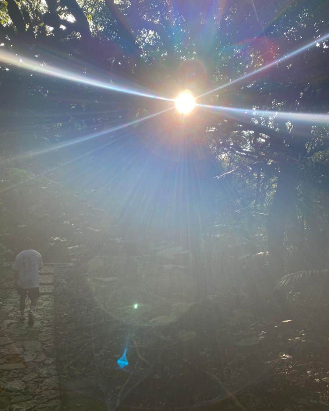大田明奈さんのインスタグラム写真 - (大田明奈Instagram)「暖かくて天気も良く小春日和だった今日🌸 入籍しました🥰 ずっと片想いだったのでこの日を迎えることができて嬉しいです🫶 幸せになりたいし、幸せにしてあげます☺️  これからも自分達らしくゆったり仲良くやっていきます🔥」3月1日 23時09分 - moreakee