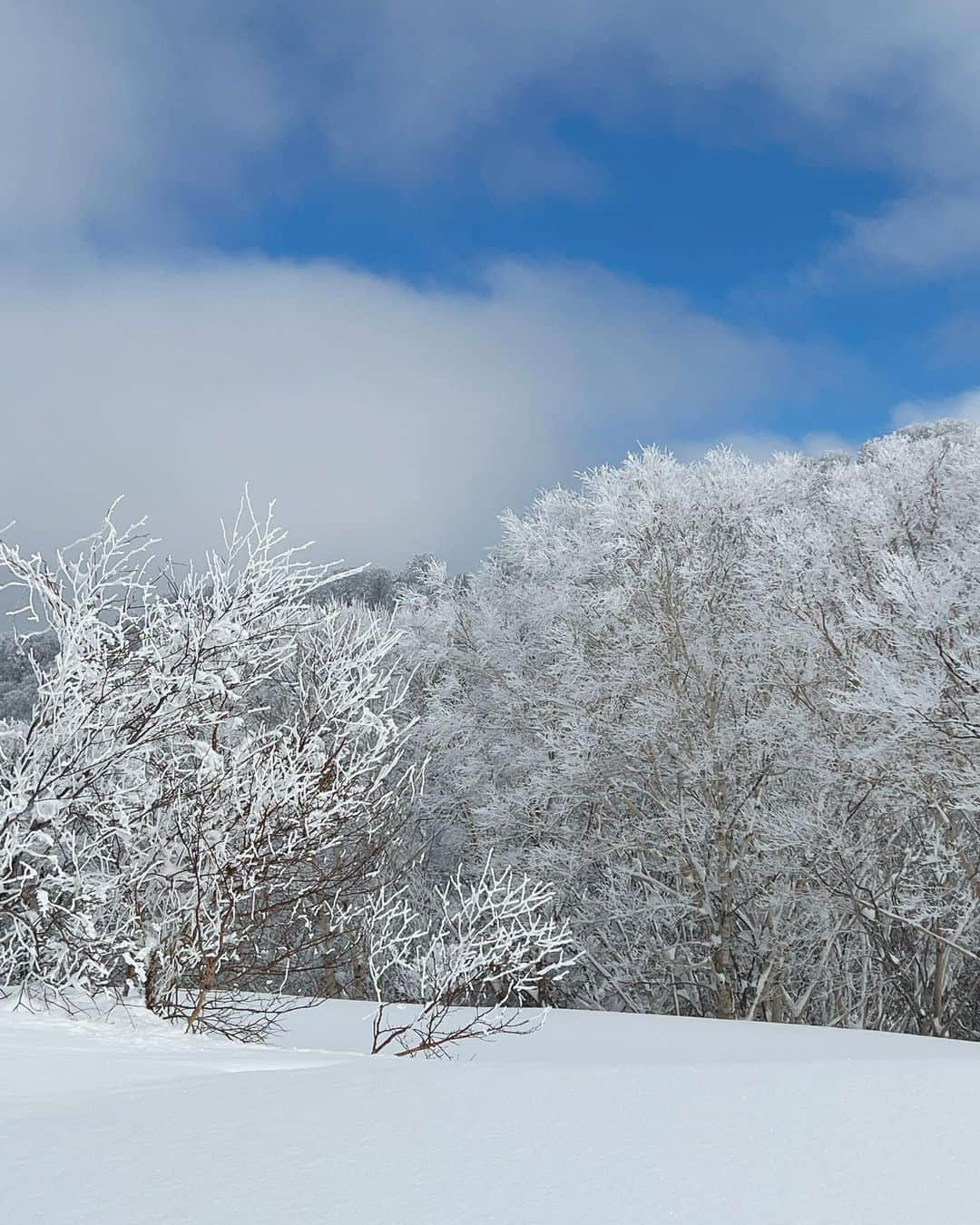 あけちゃるのインスタグラム：「綺麗だった〜⛄️」