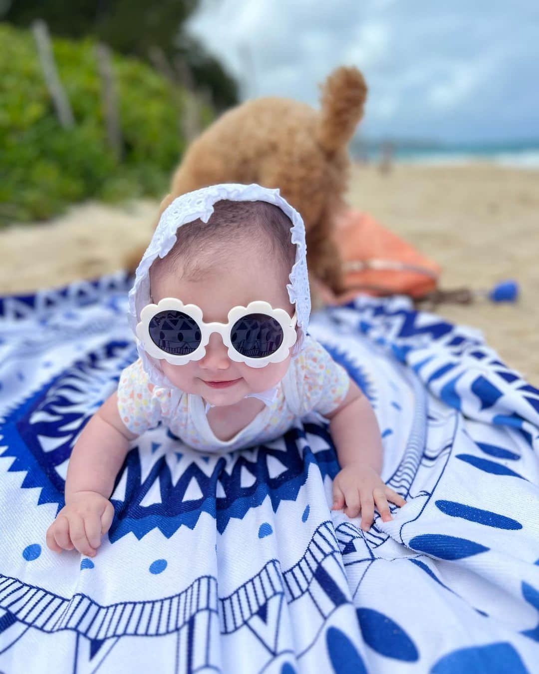 宮崎沙矢加のインスタグラム：「Don't grow up so fast.👶🏼🌴I can't believe that She's almost turnning 6month!!!!Thank you for being such an amazing happy baby,Michelle🌺 . . . 明日でもう３月！そして週末はミシェルのハーフバースデー🤍早い。早すぎる。まだ気分は新生児のままw👶🏼💕🙌🏽 今月はパパ不在でワンオペだったから、雨の日以外は海🏖でchillしたり🌴お友達とcafe行ったり~ハイキングもしたな~お買い物行ったりと毎日お出かけしてたから本当あっという間だった💓💓💓  ミシェルもテディ🧸兄さんも毎日楽しそうにしてくれたからママも幸せでした~🫶🏽 ミシェルは目が合うとニコニコ👶🏼✨本当Happy Baby🤍明日からはまたパパに存分に甘えよ〜と🤭💕💕 #ハワイ生活 #5monthsold #babygirl #dogandbaby」