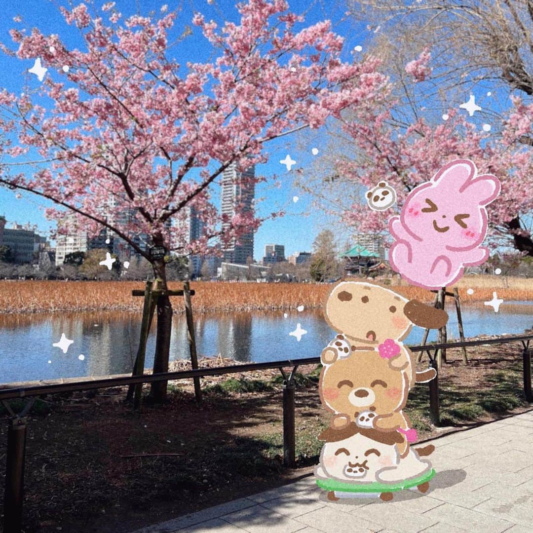 みふねたかしさんのインスタグラム写真 - (みふねたかしInstagram)「春が近くてぽかぽか。卒業生のみんなおめでとうー！🌸  #春 #河津桜 #上野公園」3月1日 18時54分 - irasutoya