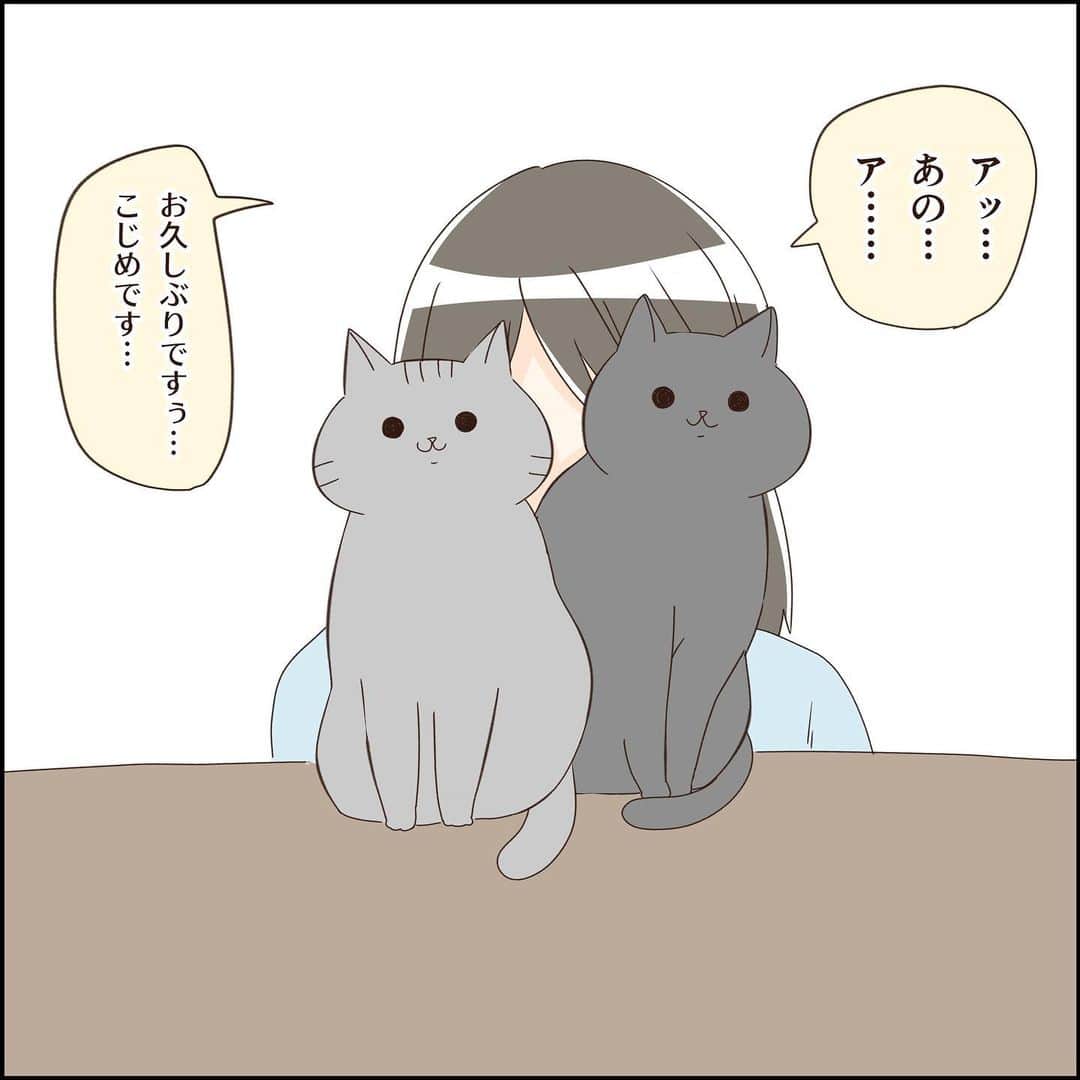 こじめのインスタグラム：「【おひさしぶりです】  覚えてますでしょうか… あーこんな奴いたなぁ程度でも覚えてもらえていたら幸いです…。  そんなこんなで省エネモードで過ごしていたんですが、だいぶ充電させて頂いたので本日からまた再開しようと思います。 ペンを持つのすら久しぶりすぎて線ががたがたになるし、イラストアプリの機能は忘れてるし、 インスタに投稿するのなんかもーーーーめっちゃ緊張します。 今この文章打ってる時めっちゃドキドキしてます。  またぼちぼちと、娘と猫ズとのゆるーい出来事を描いていきたいと思いますので、よろしくお願いいたします！ リハビリ完了したらまたインスタライブなんかもゆるーくやりたいなぁと思ったり。  今年はもう失踪しない…絶対しない……(　˙-˙　)」