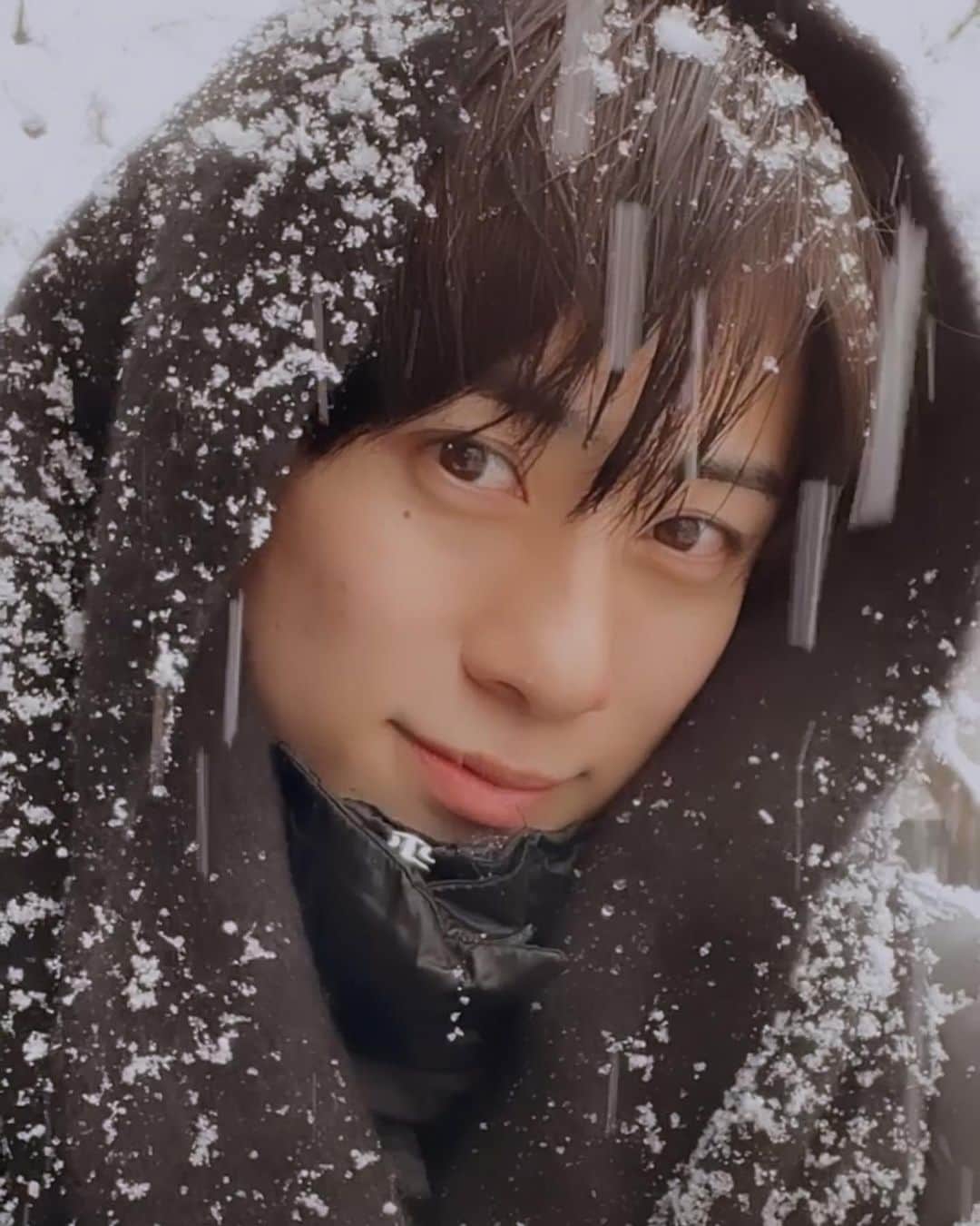 りゅうとのインスタグラム：「もう春になりそうな 暖かさだね〜ん🥸  雪はもう無いか〜〜〜  なんか寂しいような、」