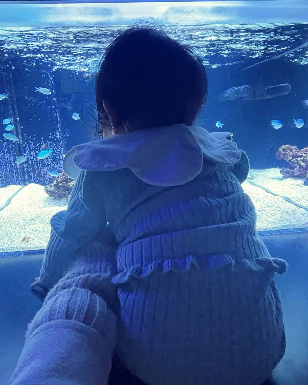 石橋穂乃香さんのインスタグラム写真 - (石橋穂乃香Instagram)「過日🐬  我が子と初水族館🐬  初めて行く空間や、初めて見る生き物達、我が子の目にはどんな風に映ってるんだろう☺️」3月1日 21時09分 - honoohno