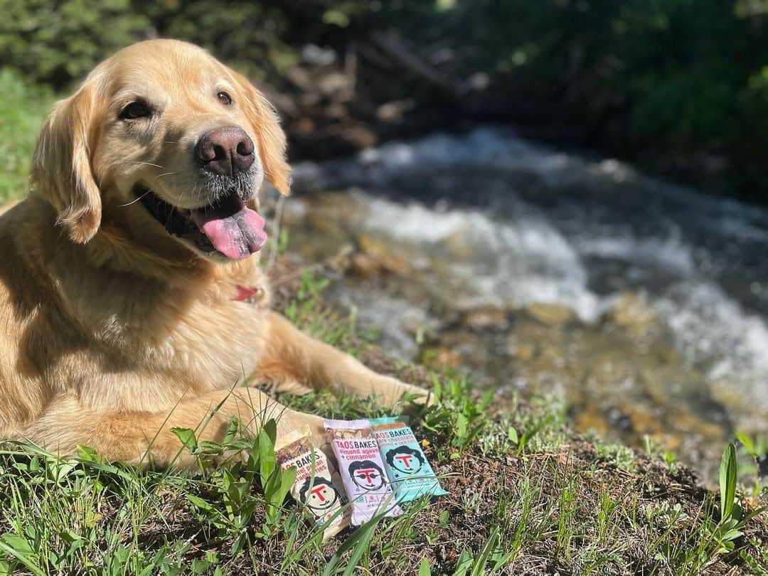 エリン・アンドリューズのインスタグラム：「Delicious, clean ingredient bars that are Howie approved! 🐶    @taosbakes are available at stores nationwide! Check out @taosbakes store locator to find a location near you! (just make sure you don’t share the chocolate ones with your furry friends)」
