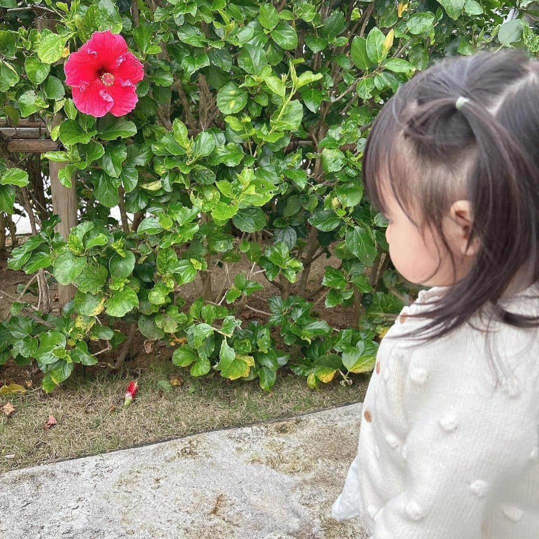 松田栞さんのインスタグラム写真 - (松田栞Instagram)「沖縄🌺2泊3日 パパのお仕事の関係で招待旅行✨ ツアーだから自由ほぼないけど、 10月にも行ってたから、 普段選ばないとこ行けて楽しかった😊 ただ2日目から体調崩して ほぼホテルの思い出。笑」3月2日 17時08分 - s_04pupu