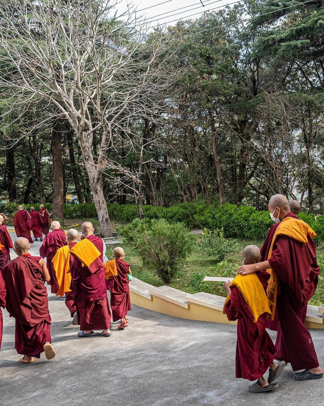 ダライ・ラマ14世さんのインスタグラム写真 - (ダライ・ラマ14世Instagram)「A collection of photographs captured during the ordination ceremony of novice monks and nuns, held at the residence of HHDL in Dharamsala, HP, India on March 2, 2023. Photos by Tenzin Choejor #dalailama #buddhism #ordination #monk #india #tibet #tibetan」3月2日 17時11分 - dalailama