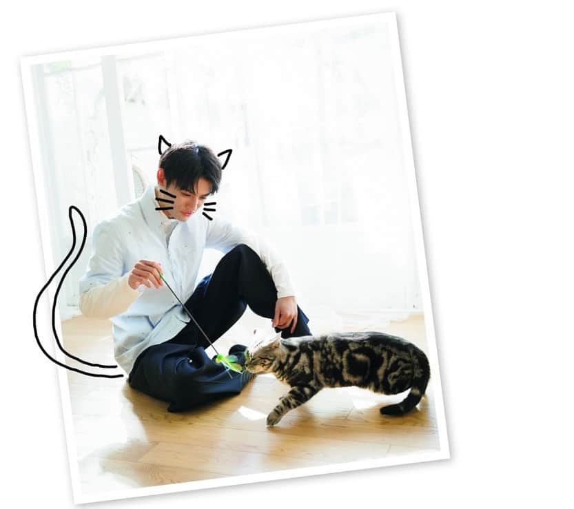 ジュノン編集部さんのインスタグラム写真 - (ジュノン編集部Instagram)「#JUNON 4月号発売中！  犬派と思いきやの #藤原大祐 くん 猫ともめっちゃ仲良し😍  #イケ猫 集めました #猫　#猫のいる暮らし #忍者に結婚は難しい #猫に夢中すぎて #猫しか見てない #たいゆ」3月2日 17時14分 - junon_jp