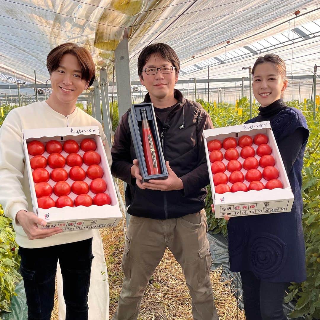 武田伊央のインスタグラム：「日本一の値がつくといわれる 佐賀市川副町の光樹トマト🍅✨  これぞ求めていた理想のトマトと思える バランスの良い甘さと酸味と果肉感でした😭  温室で、土づくりからこだわり 厳し基準をクリアして市場に出るこのトマトは なかなか福岡では出回っていないそうで オンラインストアで購入できます！  「光樹トマト」で検索してくださいね☺️✨  #光樹トマト#トマト好き#トマト#🍅#トマトレシピ #トマト料理 #タダイマ」