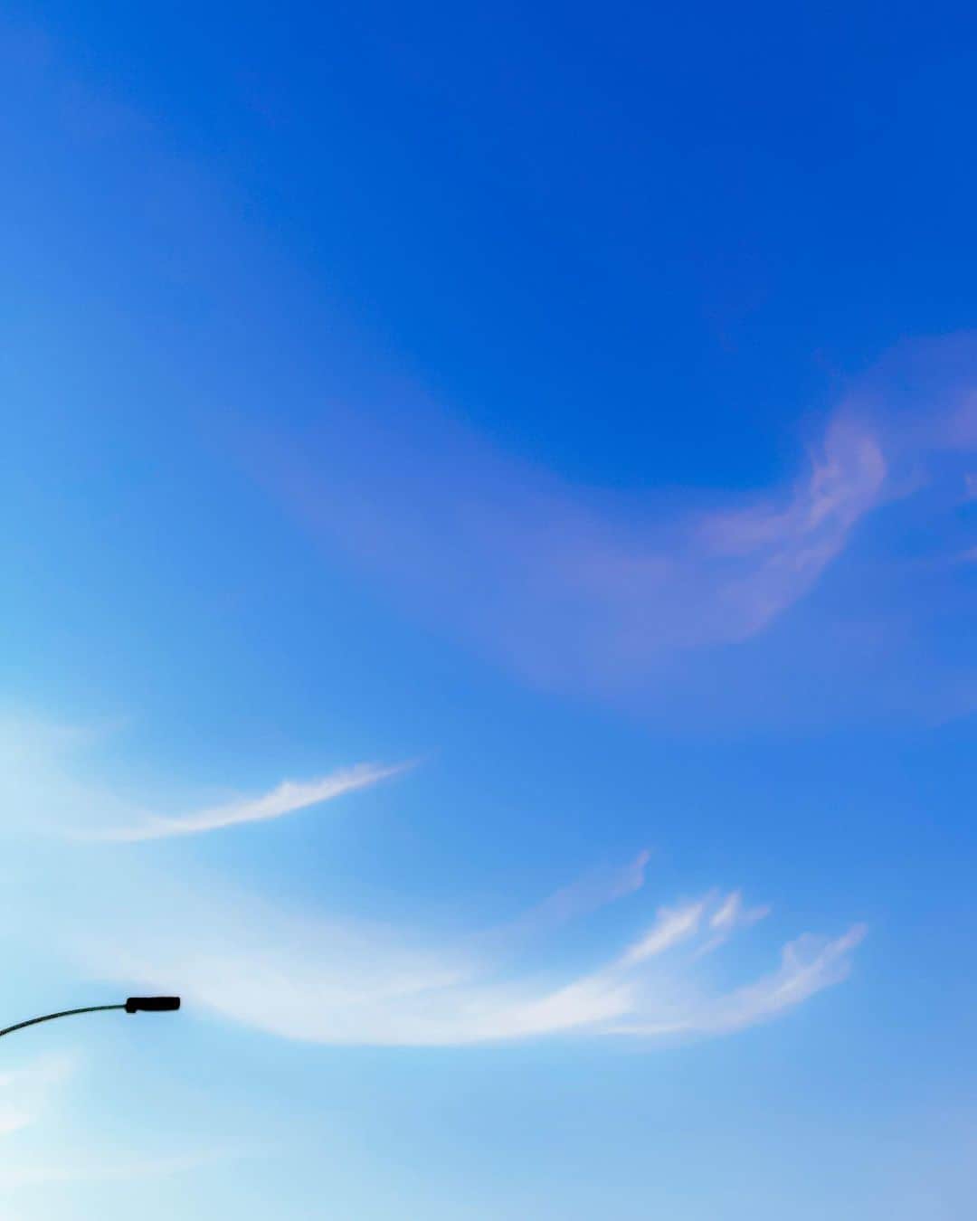 満島真之介さんのインスタグラム写真 - (満島真之介Instagram)「.♡.  優しい春が ぼくらを迎えにきた  出逢う喜びも 別れるさみしさも やわらかく風が運ぶよ  ふわり雲といっしょに 春を躍れ  .•*¨*•.¸¸.♡」3月2日 9時32分 - mitsushimax
