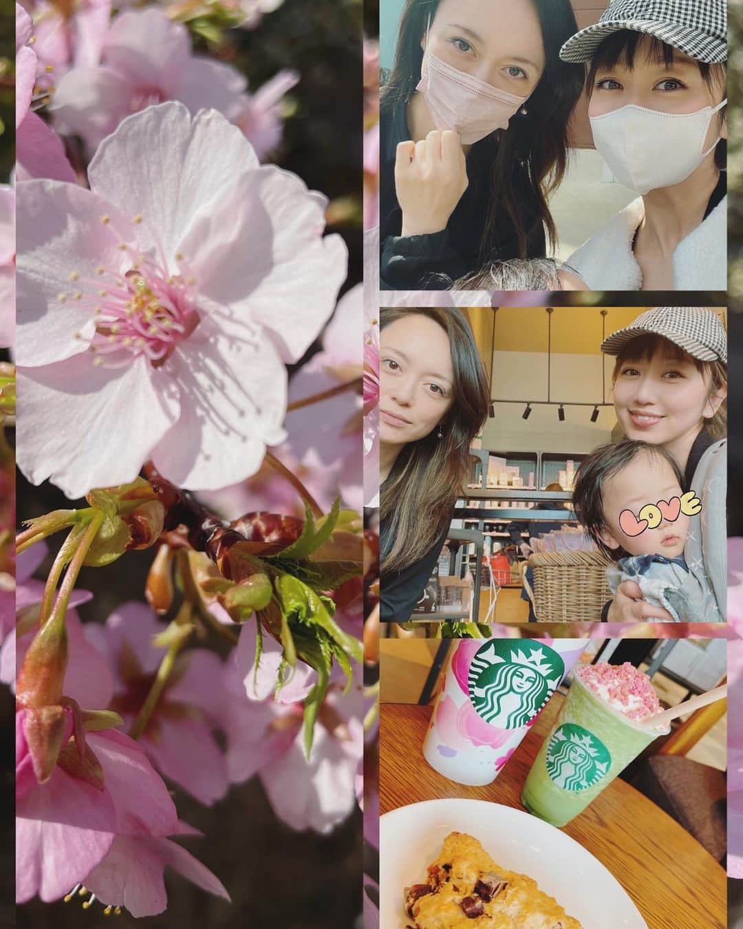 森本さやかさんのインスタグラム写真 - (森本さやかInstagram)「#スタバさくら ❀.*･ﾟ❀.*･ﾟ❀.*･ﾟ    #さくら抹茶フラペチーノ  #coffeetimewithfriends ❤︎❥ ᥫᩣ」3月2日 9時47分 - sayakamorimoto1011