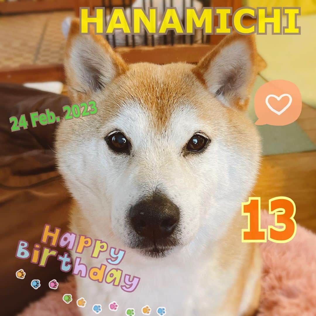 Hanamichi ＆ ℕㆁℜ〡ｋㆁ♡のインスタグラム：「毎日毎日、飽きもせず、 愛を思い知らされております❤️ 世界一可愛い私の息子ハナミチくんへ❤️ お誕生日おめでとう❤️ だいすきだいすきだいすき❤️  （お誕生日は2/24です…毎年かならず当日にUPしてたのに忙しすぎて遅れたよ〜）」