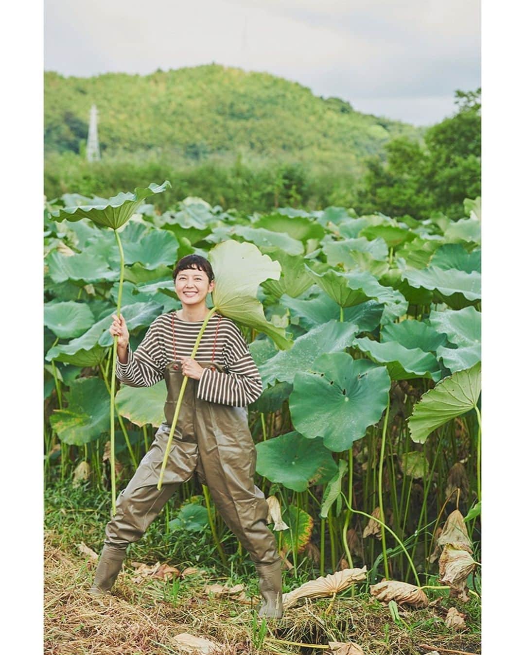 菊池亜希子のインスタグラム：「静岡の伝統野菜『あさはた蓮根』の畑を見学させてもらった様子が、 ONKUL web @onkul_magazine にアップされています😊　  収穫の際にどうしても出てしまう『規格外』のレンコンをスープに活用するという取り組み、とてもいいなぁと思いました。  あさはた蓮根を使ったスープは、野菜をMOTTOさん @yasai_first の新メニューとして春に登場予定。コラボパッケージも現在製作中です♪  📷 @gotanabe  👖 @kaho__yamaguchi  💄 @nittamisako  ✏️ @shoko.matsumoto.56」