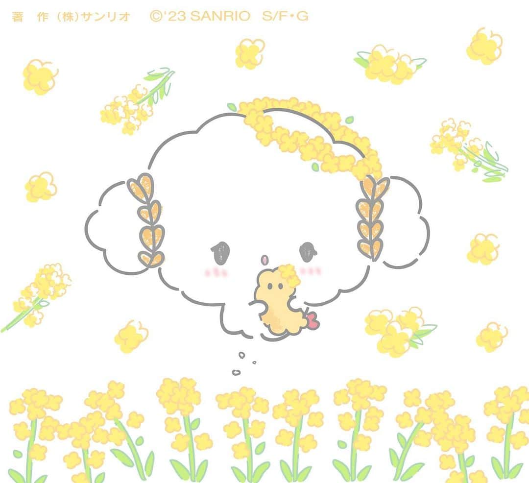 こぎみゅん（サンリオ）のインスタグラム：「まだちょっとさむいけど、 ちょっとずつ ぽか ぽか うれしいみゅん‥♡  #サンリオ #キャラクター #小麦粉 #こぎみゅん #菜の花 #sanrio #character #cogimyun」