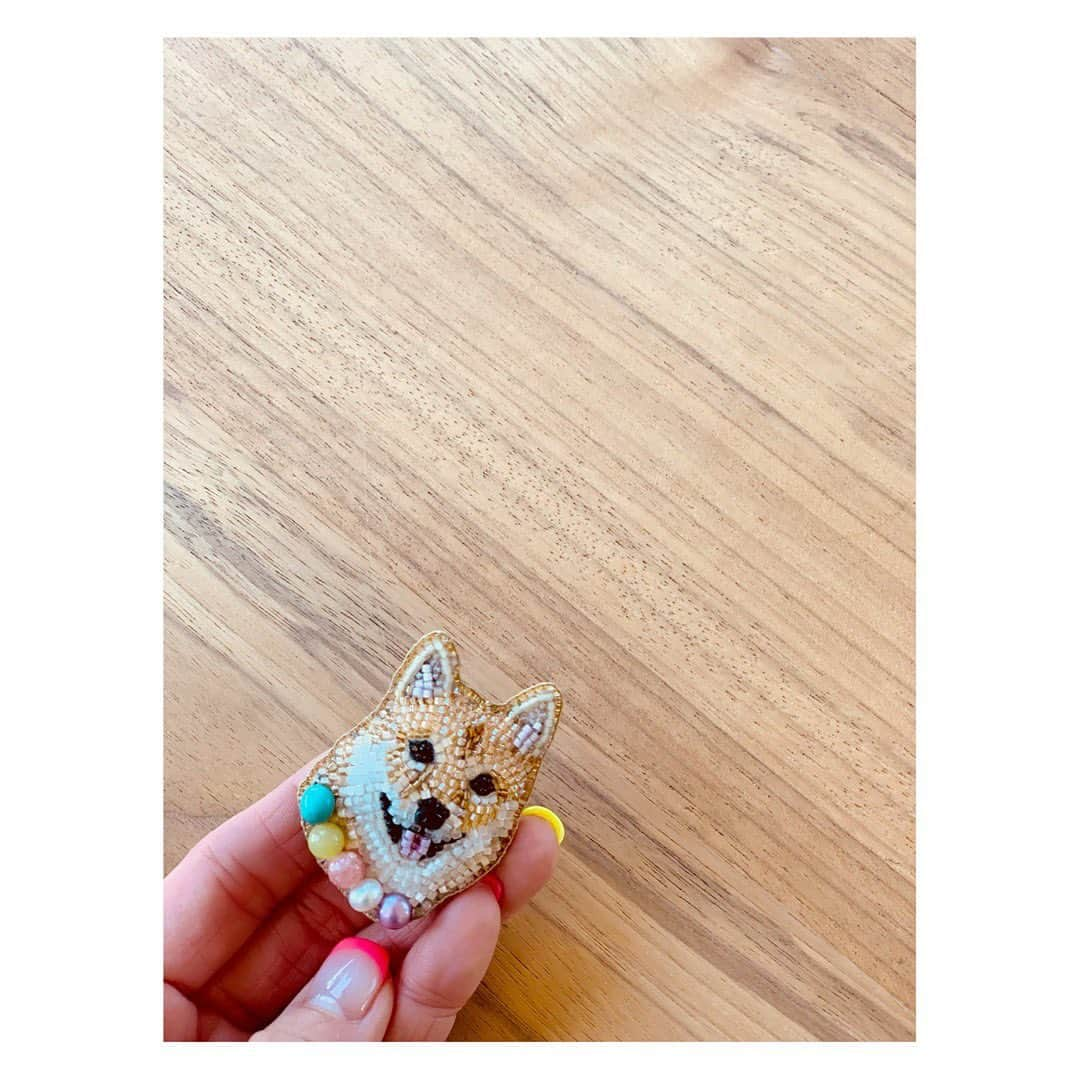 陽月華さんのインスタグラム写真 - (陽月華Instagram)「☆  ！  きゃわ！なんてきゃわ！  るんたんの似顔ブローチ☺︎  作っていただきました。  いつもいつでも眺めたいから着けたいけど、なくすのこわくて家でにやにや眺めてる。  #るん  #犬 #dog #dogstagram #dogslife #doglife #dogs #doglifestyle #dogstagram  #dogphoto #dogphotography  #dogphotoshoot #photography」3月2日 16時05分 - hizukihana_official