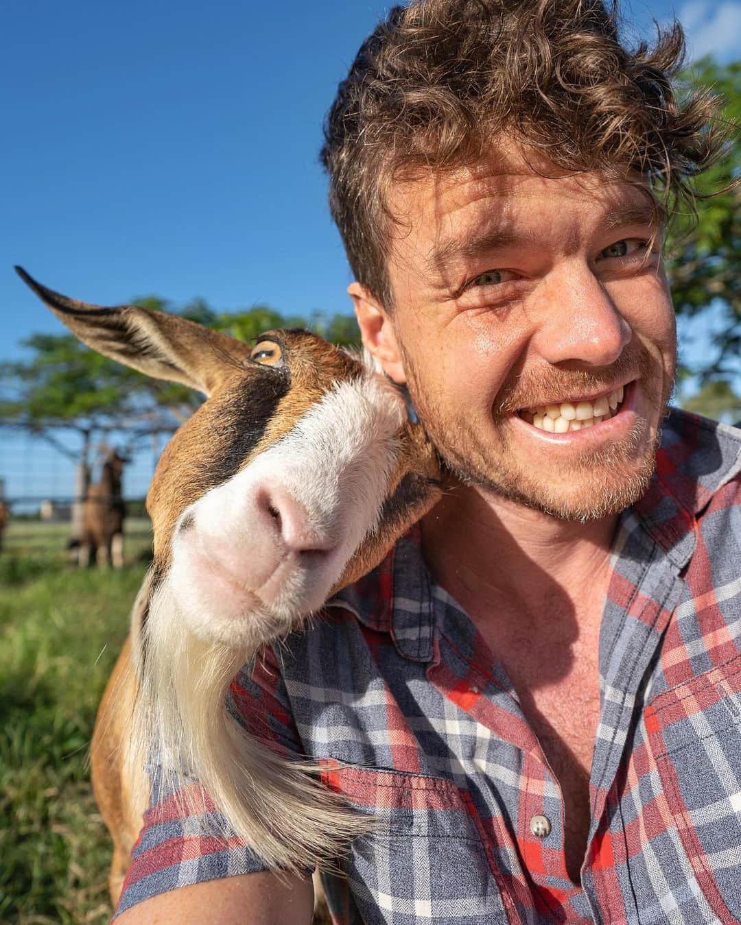 アラン・ディクソンさんのインスタグラム写真 - (アラン・ディクソンInstagram)「Choose farm life. So funny hanging out with these legends. Meet the happy locals of @splittersfarm. I’d hands down choose the wholesome farm life over the city anyday. #farmlife #rescuefarm #farmstay #animalselfie #horseselfie #goatselfie #babygoat #bundaberg #queensland #australia #animals」3月2日 18時35分 - daxon