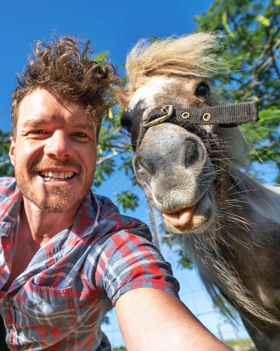 アラン・ディクソンのインスタグラム：「Choose farm life. So funny hanging out with these legends. Meet the happy locals of @splittersfarm. I’d hands down choose the wholesome farm life over the city anyday. #farmlife #rescuefarm #farmstay #animalselfie #horseselfie #goatselfie #babygoat #bundaberg #queensland #australia #animals」