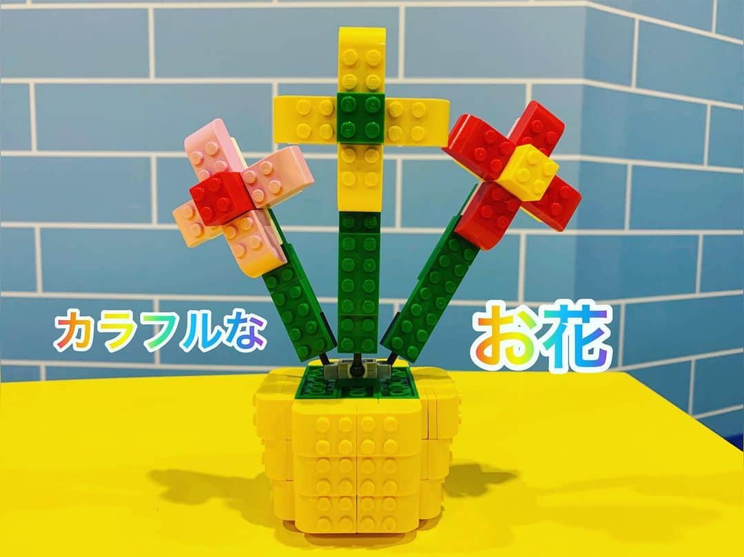 黒沼誠さんのインスタグラム写真 - (黒沼誠Instagram)「カラフルなお花🌼🌸💐  こちらもレゴランド東京のダイノエクスプローラーのパーツだけでつくったよ👍  おはながささってるはちうえがいちばんじかんがかかってるのだよ〜  こんなにきれいにさくにははちうえがだいじってことだね😊  しゅやくをひきたたせるにはわきやくってことだね😁  ごはんがおいしくたべれるのはおかずがおいしいってことだね😆  さいごのはちがうか。  Enjoy LEGO！！！  #お花 #鉢植え #カラフルフラワー #お花を引き立たせる鉢植え #レゴ #レゴフラワー #レゴランド東京 #レゴランドディスカバリーセンター東京 #マスターモデルビルダー #まっこん #レゴ職人 #お笑い芸人 #二足の草鞋 #レゴ大好き芸人 #lego#legoflower#legostagram#legolanddiscoverycenter#mastermodelbuilder」3月2日 18時41分 - bfkuronuma
