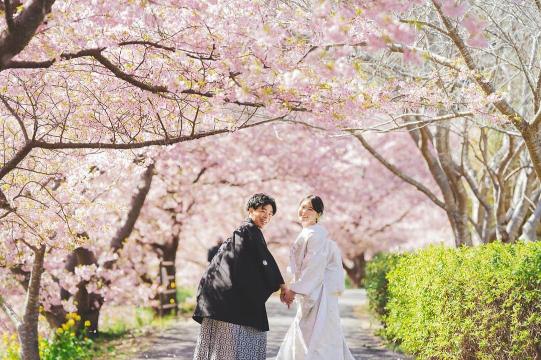 スタジオアクア富士店 のインスタグラム：「カメラマンの前崎です！  天気もお二人も最高すぎた日🌸 楽しいも！かっこいいも！可愛いも！ 全部を詰め込んだ1日でした☺️  hair and make  高野優 @yu.deco.hm  photogrher  前崎浩海 studio　　　　@studioaqua_tachikawa229 @studioaqua.fuji  ・ ・ -------------------------------------- シーズン料金22,000円OFFキャンペーン実施中。 ご予約お急ぎください！  ◎来店相談会・オンライン相談会◎ 随時ご予約受付中！ プロフィールのリンクからどうぞ⬇︎⬇︎ ▷▷ @studioaqua_tachikawa229   【撮影空き確認はこちら】 スタジオAQUA立川店 TEL:042-548-5611 Mail:tachikawa@studio-aqua.jp --------------------------------------  スタジオAQUAでは 一緒に働く仲間を募集しています！ @decollte_recruit   -------------------------------------- @decollte_wedding  @decollte_weddingphoto  @studioaqua_tachikawa229  -------------------------------------- #撮る結婚式#デコルテフォト #スタジオアクア #スタジオアクア立川店 #フォトウェディング #ウェディングフォト #結婚式#ウェディング #2023秋婚#2023冬婚 #前撮り#後撮り#卒花嫁 #昭和記念公園#昭和記念公園前撮り #日本中のプレ花嫁さんと繋がりたい #全国のプレ花嫁さんと繋がりたい #前撮りレポ#おしゃれ花嫁　 #色打掛 #白無垢 #白無垢ヘア #色打掛ヘア」