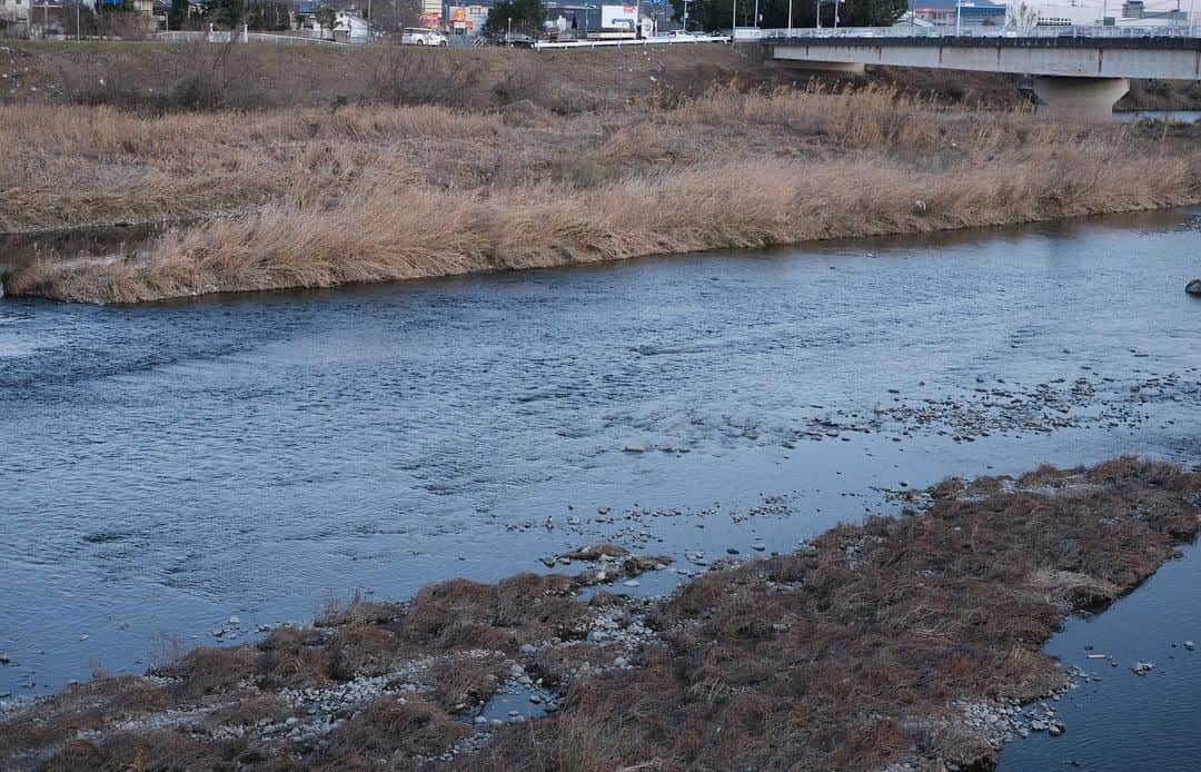 ユニオンインペリアルさんのインスタグラム写真 - (ユニオンインペリアルInstagram)「. 【革づくりに最適な水質】 革の品質を左右するもの、それが土地の水質です。  革の製造には大量の水を必要とするため、皮革産業が盛んな地域には決まって大きな川があります。山陽さんの工場のすぐそばにも「市川」という河川が流れていました。  水はとても澄んでいて、革の耐久性に好影響を与える鉱物を豊富に含んでいるそうです。  #unionimperial #ユニオンインペリアル #姫路市 #姫路市市川 @sanyoleather」3月2日 20時53分 - unionimperial_official