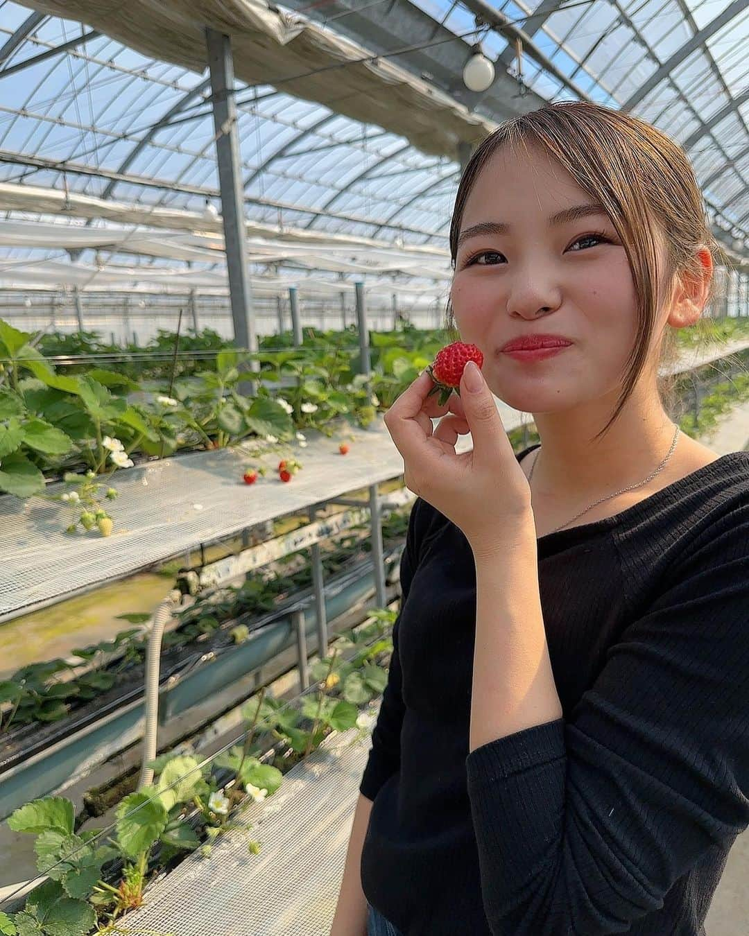 筒井莉子さんのインスタグラム写真 - (筒井莉子Instagram)「いちご狩り🍓  #イチゴ #いちご狩り #保育園生以来  #いちご #佐賀県 #いちごさん  #さがほのか」3月2日 22時14分 - riko.02tsutsui