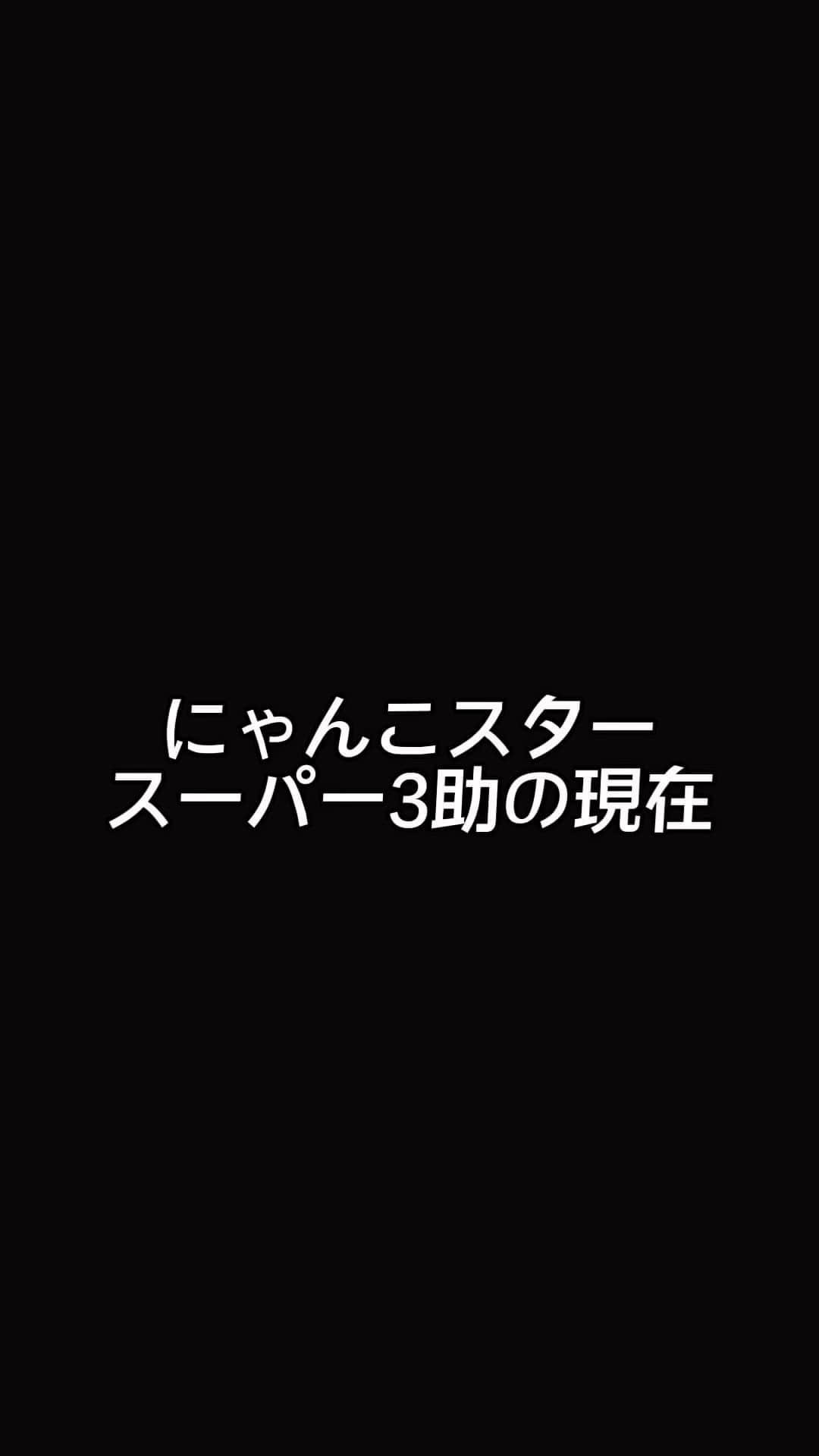 スーパー3助のインスタグラム：「#にゃんこスター  #スーパー３助」