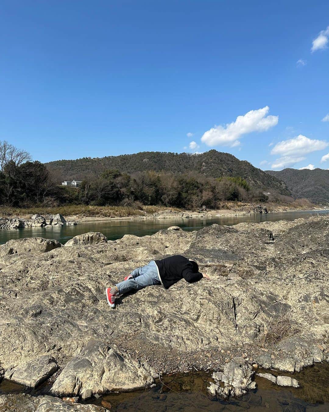 関太のインスタグラム：「陸に上がった関は 体温を上げるため 岩肌で日にあたります。」