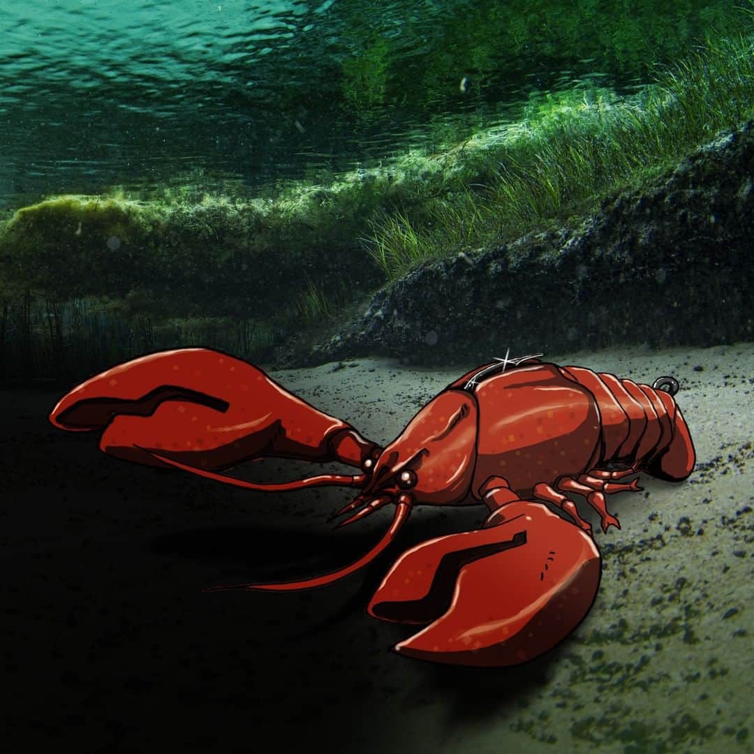 Megabass Inc.のインスタグラム：「この魔力には抗えない。 投げればアタる、クロージグ。 SLEEPER CRAW coming soon.  https://www.megabass.co.jp/site/products/sleeper_craw #Megabass #SleeperCraw #SleeperGill  #DarkSleeper #YukiIto #メガバス #スリーパークロー #スリーパーギル #ダークスリーパー #伊東由樹」
