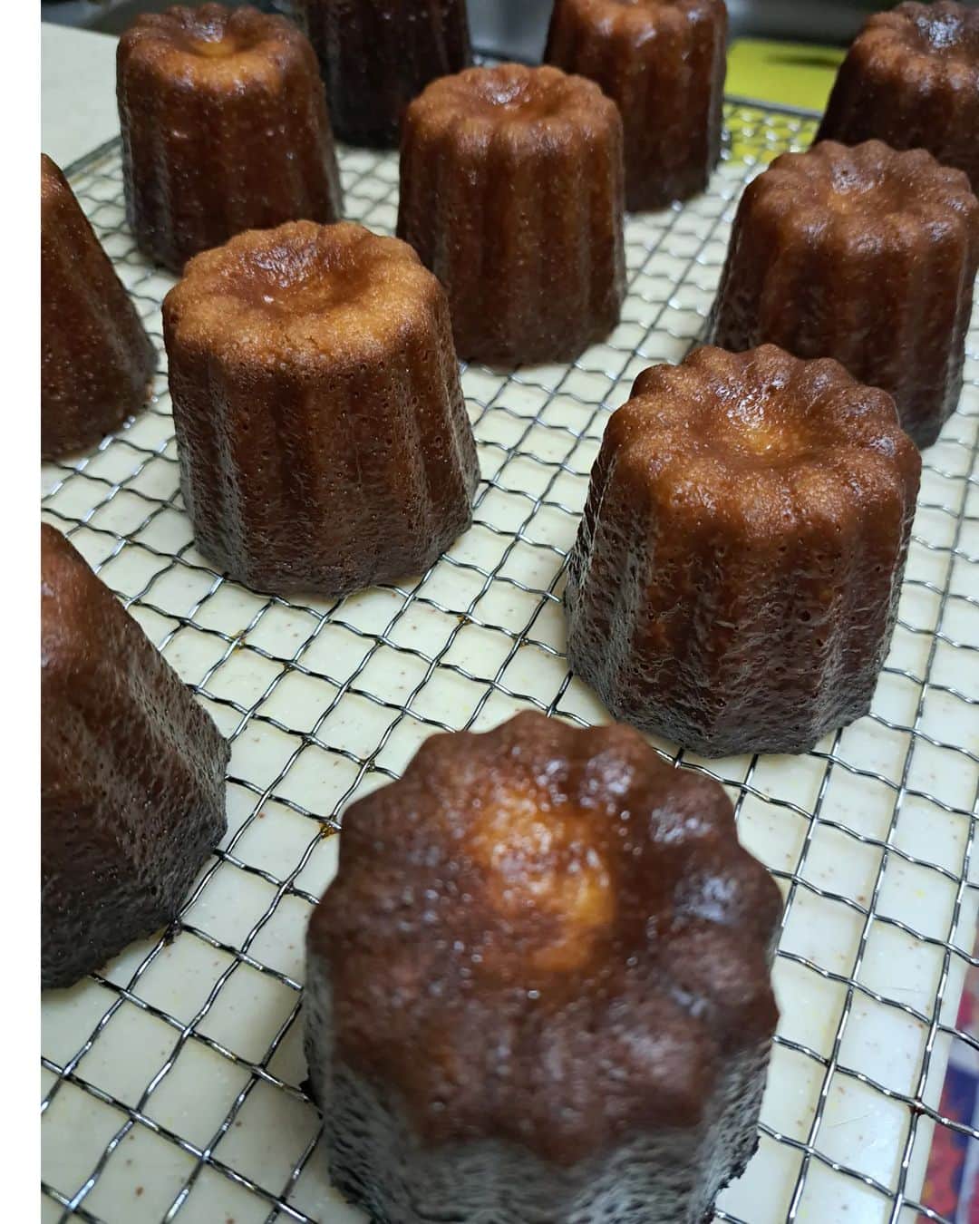 大高洋夫のインスタグラム：「お雛様なのでカヌレ焼きマスター」