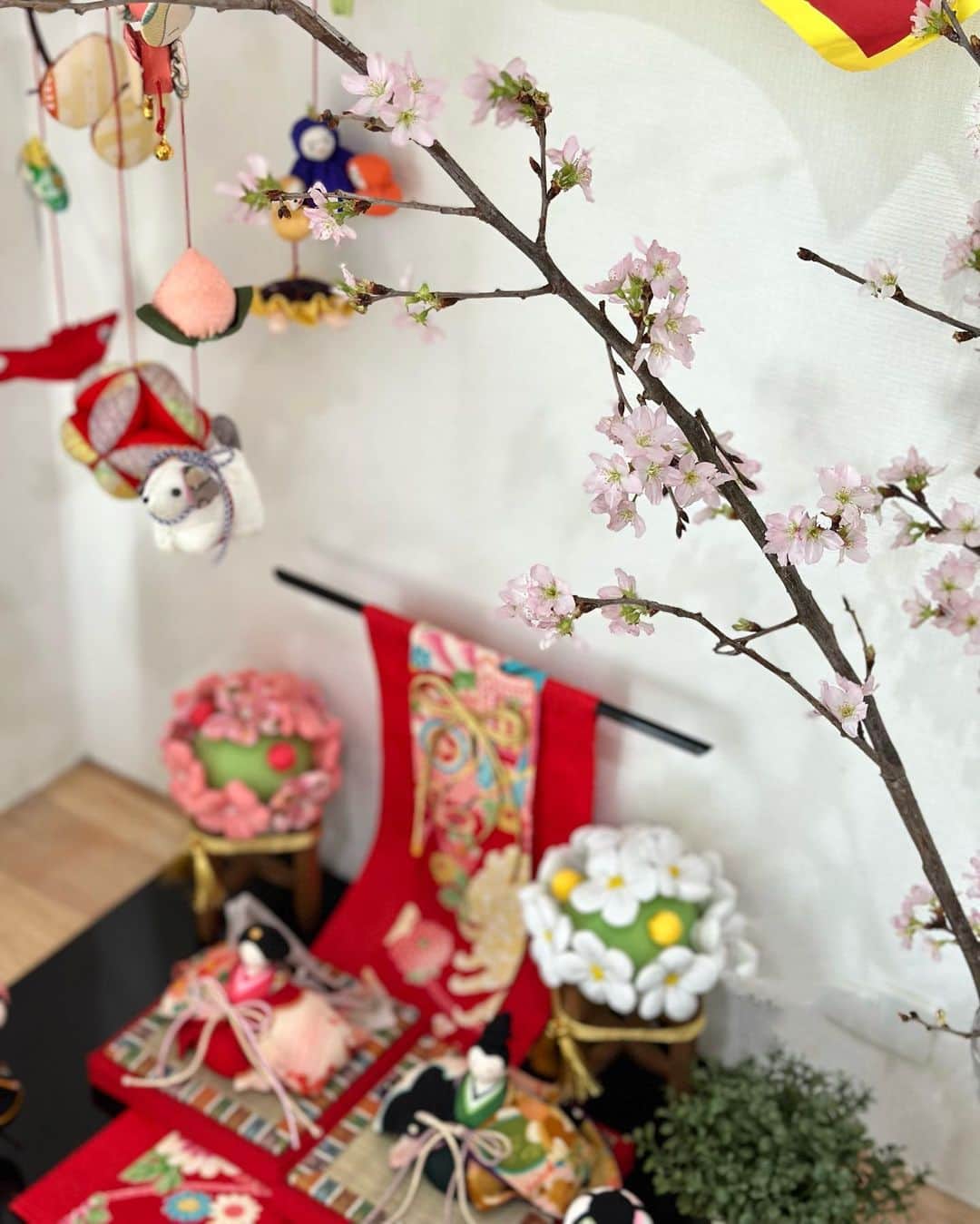 花田浩菜のインスタグラム：「#ひな祭り 🎎🤍 . . 今年は桜と🌸 去年の子供達のひな祭り作品も飾ったら（ほぼ写ってないけど🤣） ほっこりスペースに。 夜は最近ケーキよりもアイス派な子供達に31の雛壇のアイス買って帰らなきゃ🍨 . . . . #ひな祭り #雛祭り #ちりめん雛人形 #吊るし雛 #dollfestival #japaneseculture #2歳差育児 #兄妹ママ」