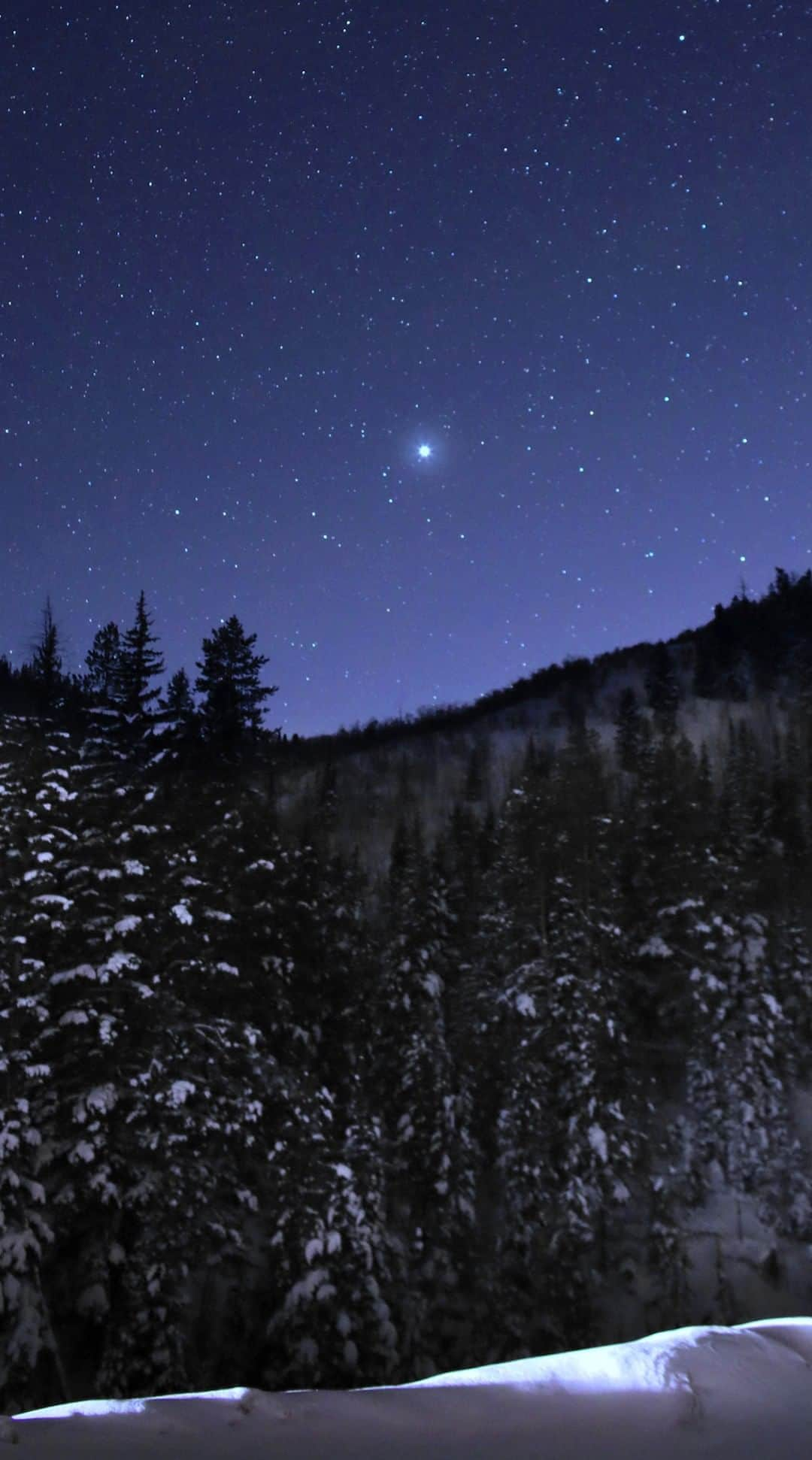 NASAのインスタグラム：「March into the new month with these sky-gazing opportunities!  Looking up at night is more fun when you know what to look for. Learn about some of the night sky happenings throughout March:   -  After a cosmic kiss, Jupiter and Venus will go their separate ways growing farther apart each night throughout the month.  -  All throughout March, dwarf planet Ceres will be visible throughout the night and is at its brightest for the year. Find it using binoculars or a small telescope.  -  The Moon will keep us on our toes, with a full moon on March 7 and a new moon on March 21. On March 23, the Moon will be a slim crescent after sunset, hanging just below a blazing bright Venus. On March 25, the crescent Moon sits beside the brilliant Pleiades star cluster.   Image description: A starry night lights up the sky above a wooded forest of evergreens dusted with snow.  Thumbnail credit: Bill Dunford   Credit: NASA/JPL-Caltech  #NASA #March #WhatsUp #SkyGazing #StarGazing #Stars #Space #Moon #Astronomy #Planets」