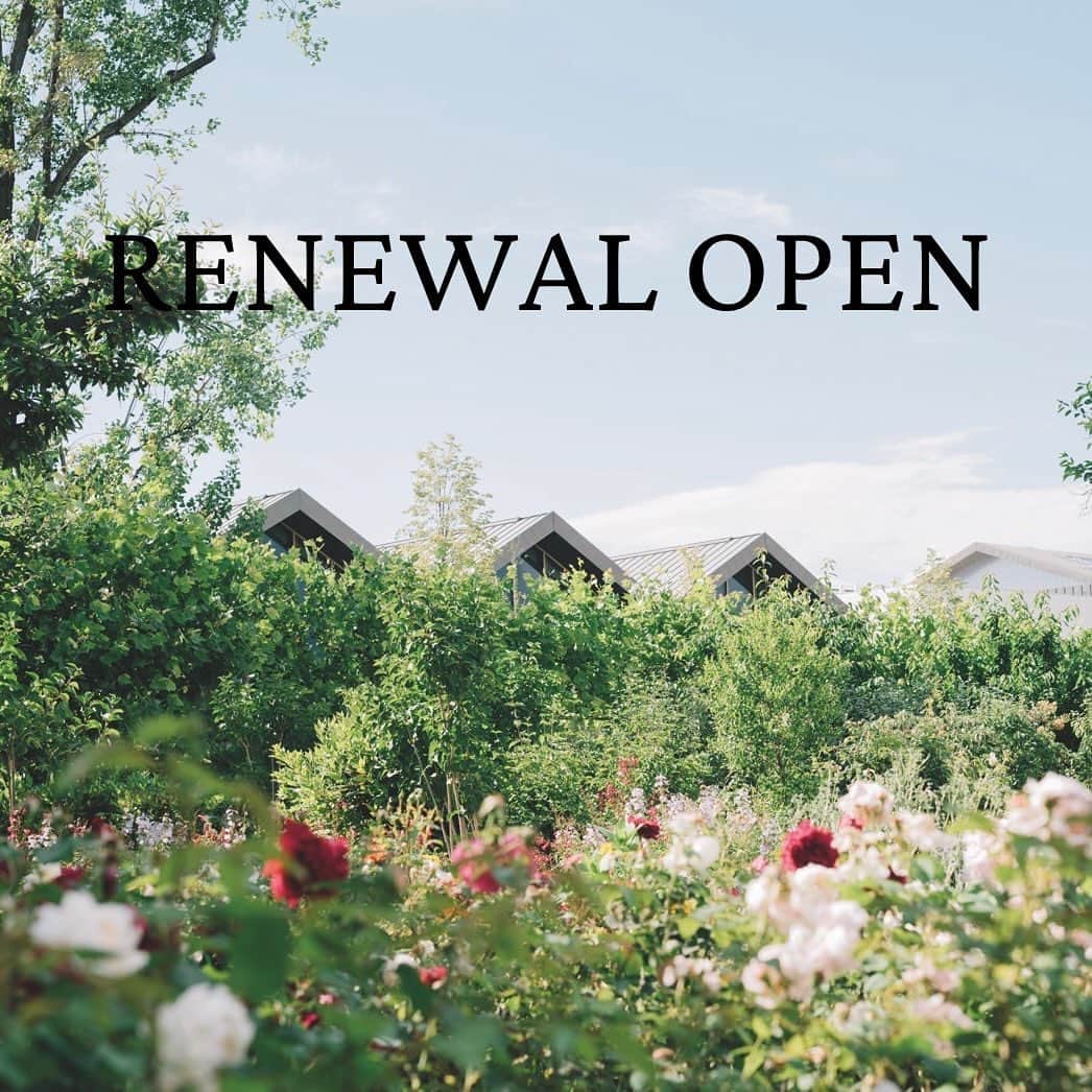 コンフォートゾーンのインスタグラム：「▫️▫️▫️▫️▫️▫️▫️▫ ▫️ ▫️ ️🎉3.3(Fri) RENEWAL OPEN！🎉 ダヴィネス ルミネ池袋店 ▫️▫️▫️▫️▫️▫️▫️▫️▫️▫️  ダヴィネス直営店が 3.3(Fri)ルミネ池袋2階に 装いをあらたに リニューアルオープン いたしました✨  新しい店舗では ヨーロピアンクラシックな要素を デザインに取り入れ オーセンティックでありながらも、 モダンな空間を演出。  寒色とあたたかい木の コントラストによる 落ち着いた空間で ダヴィネスとコンフォートゾーンの　 世界観をゆっくりと ご体感ください🌿  コンフォートゾーン商品も 豊富に取り揃えておりますので 近くにお越しの際に ぜひお立ち寄りください！  皆さまのご来店を 心よりお待ちしております♪  * * * #davines #sustainability #sustainablebeauty #haircare #ダヴィネス #サステナビリティ #サステナブル #サステナブルビューティー #ヘアケア #ナチュラルヘアケア #新店舗オープン#ルミネ池袋#ルミネ#newopen#サステナコスメ」
