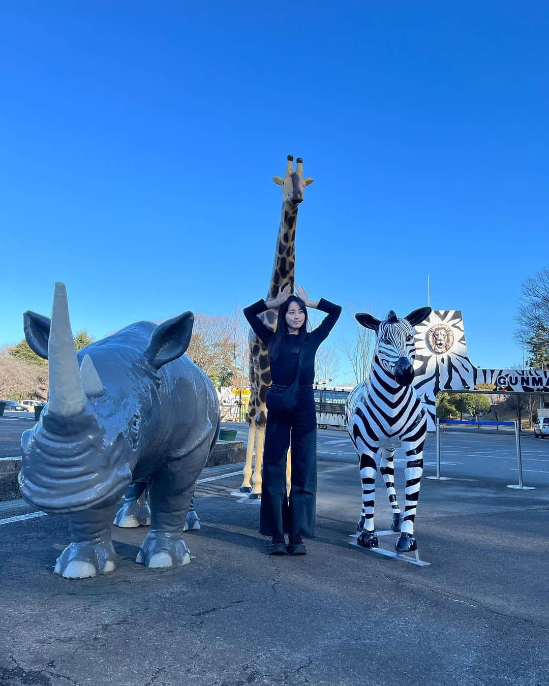 荒井レイラのインスタグラム：「🐆🦓🐘🦒🐫 ⁡ 旅行の途中で寄った群馬サファリパーク‼︎ ⁡ 車でパーク中に入っていって 間近で動物たちを見れるんだけど 迫力もあるし、こっちを気にせずまったりする 様子もかわいくて癒されました☺️  子供以上に大人が夢中になって ほぼ写真撮れてないです笑  私的にはライオンとホワイトタイガーがかっこよかったです←3歳児の男の子の感想 ⁡ 去年、富士サファリパークも行ったけど そっちも楽しかったよ〜♪」