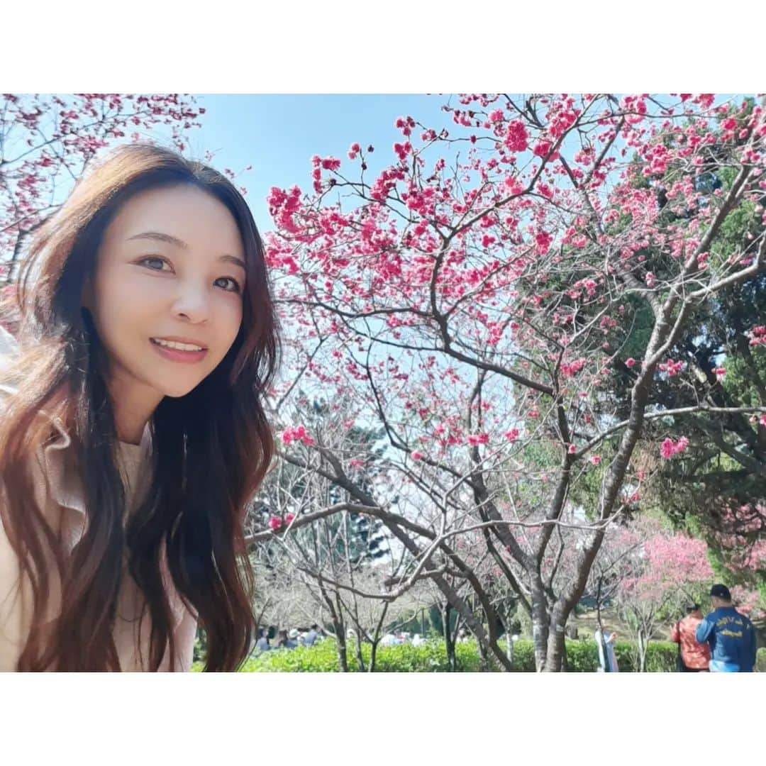 インリンのインスタグラム：「桜の季節〜🌸先日中正紀念堂へ花見に行きました♪ポップで鮮やかな色をしている台湾桜を眺めると元気が出る〜もう春だね☺☀ https://youtu.be/yHwuumDrenw  #台湾 #台北 #中正紀念堂 #桜 #春 #3児の母」