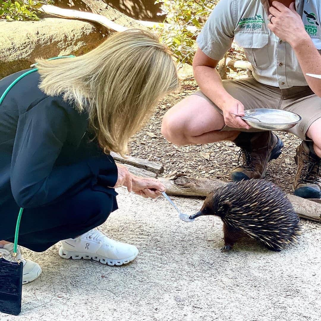 キャロライン・ケネディさんのインスタグラム写真 - (キャロライン・ケネディInstagram)「Ambassador Caroline Kennedy is now United States Ambassador to Australia! 🇦🇺  To keep up to date with Ambassador Kennedy’s time Down Under please follow our friends at @usembassyaustralia as this account is no longer in use! 🐨🦘  #USwithAUS」3月3日 10時09分 - amb_kennedy